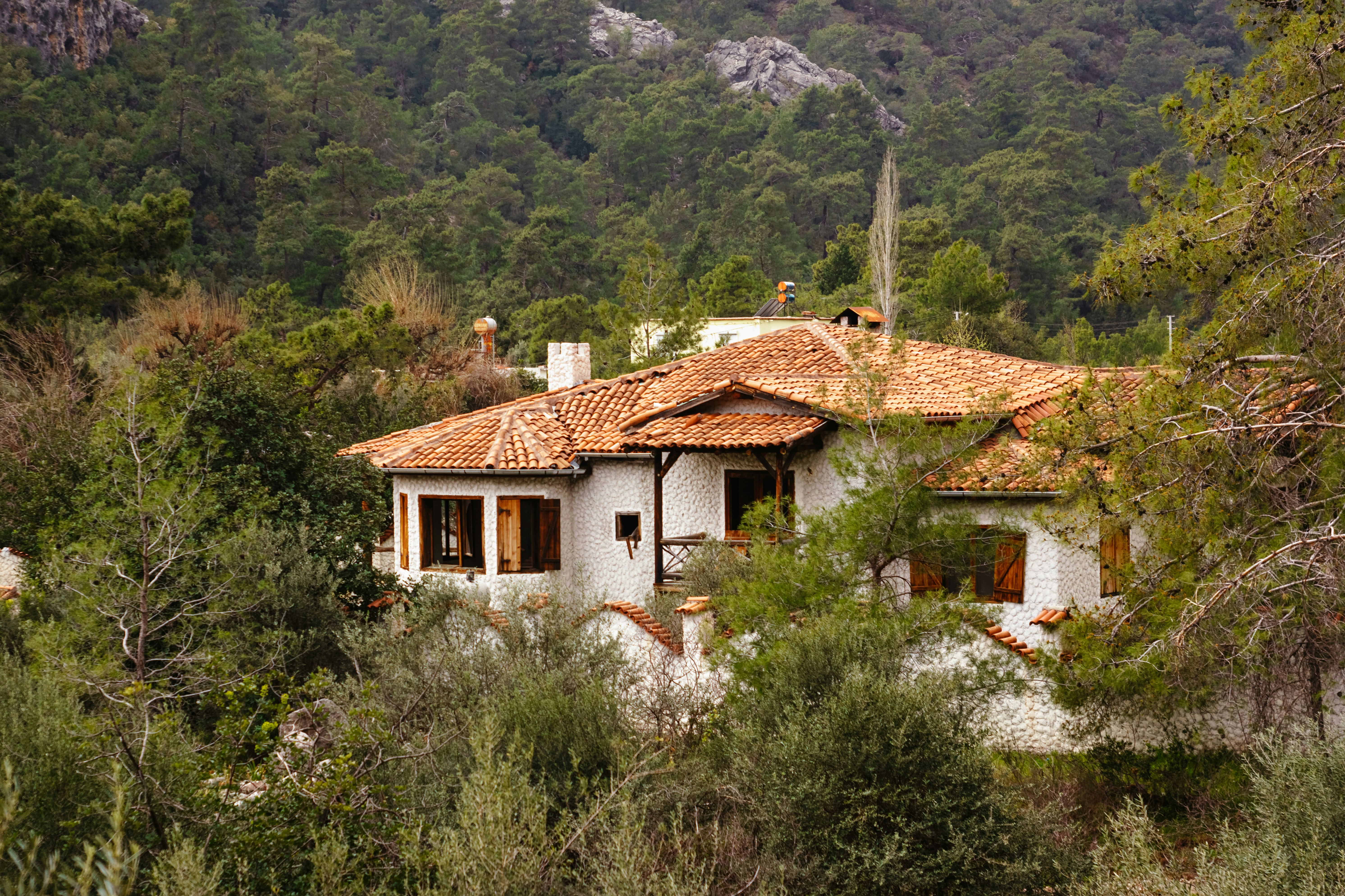 Photo by igorharrier