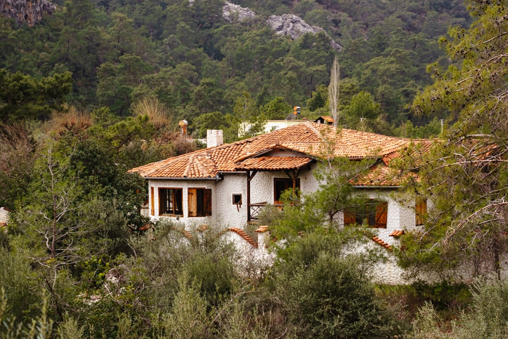 a house with a tiled roof surrounded by trees