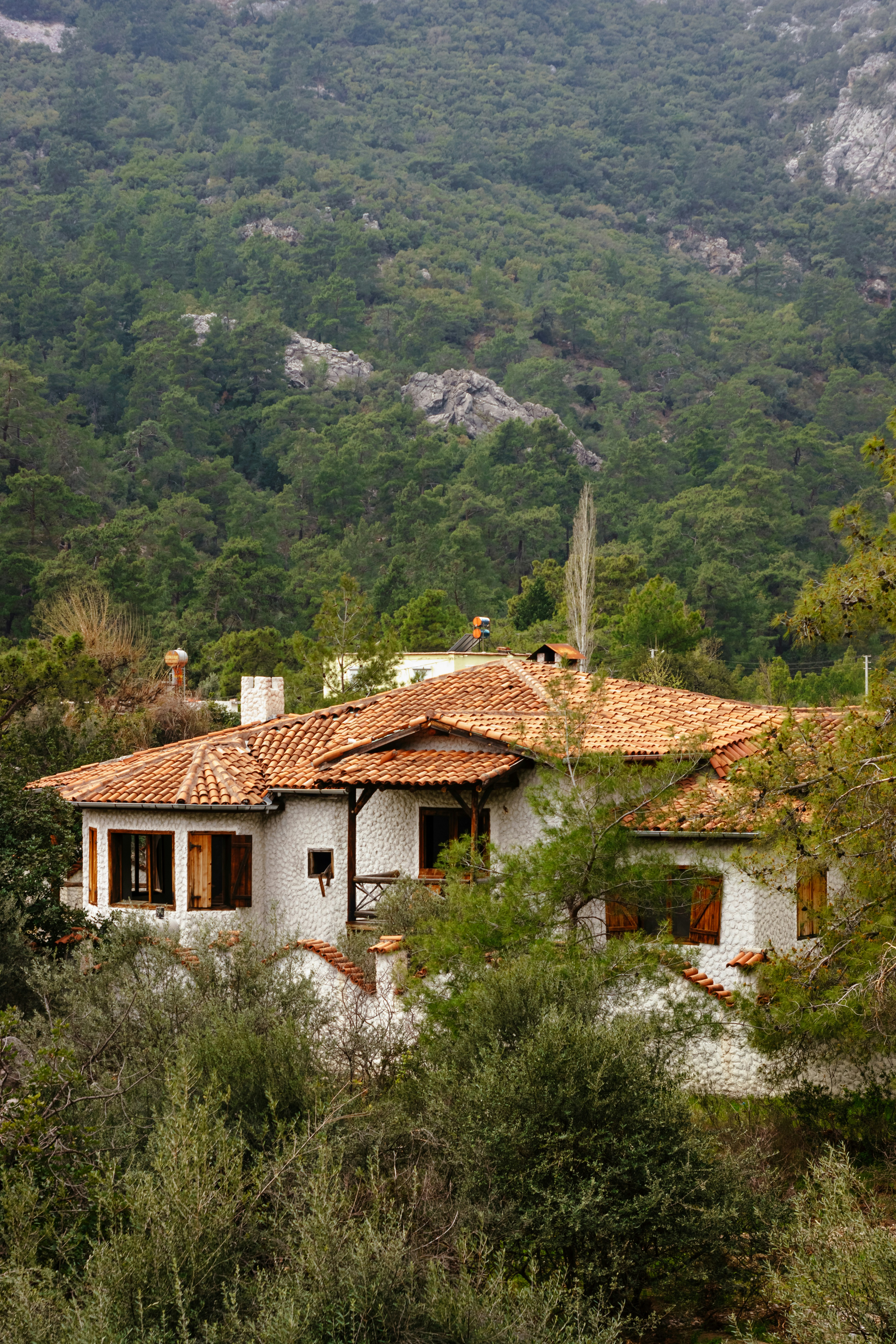 Photo by igorharrier