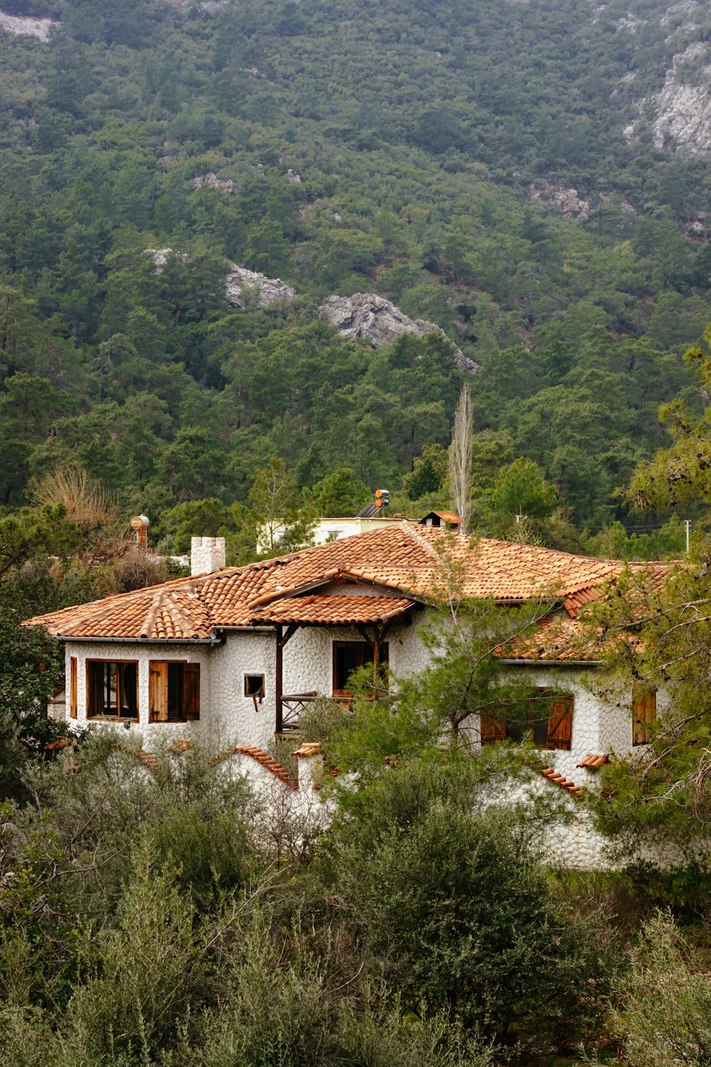 a house in the middle of a forest with mountains in the background