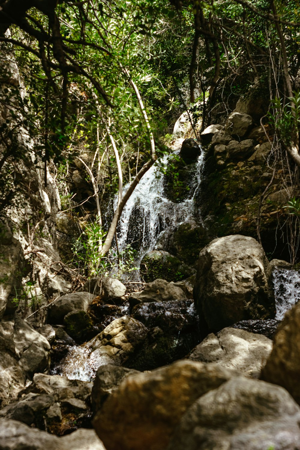 a small waterfall in the middle of a forest