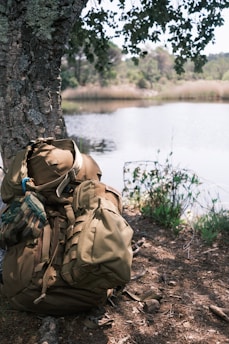 a backpack sitting on the ground next to a tree