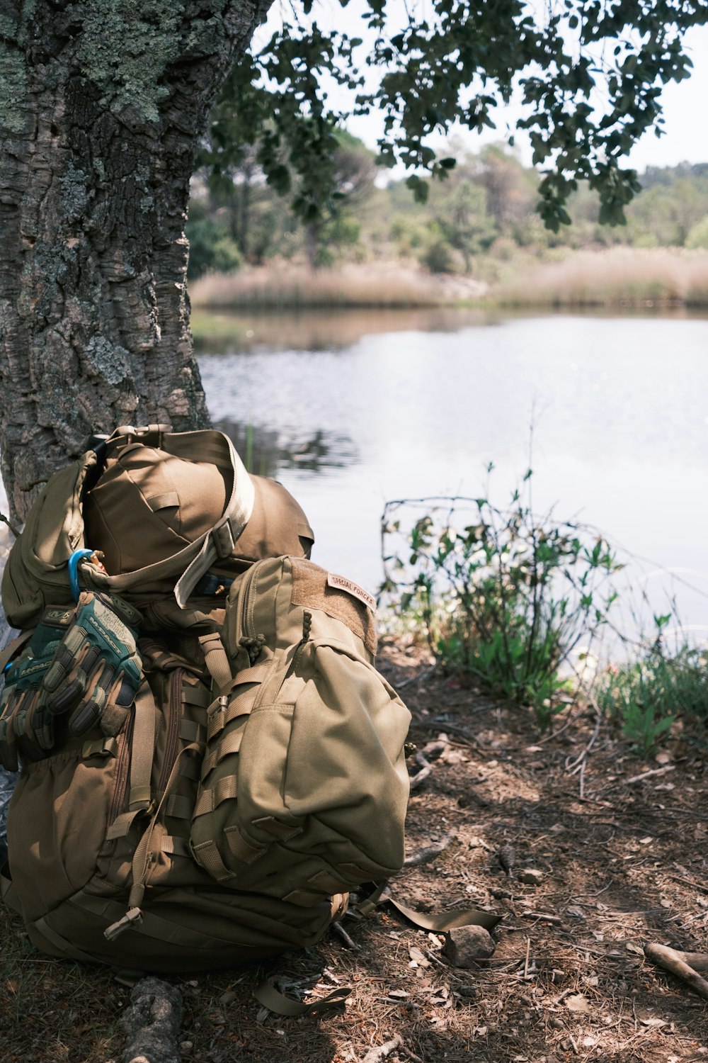 a backpack sitting on the ground next to a tree