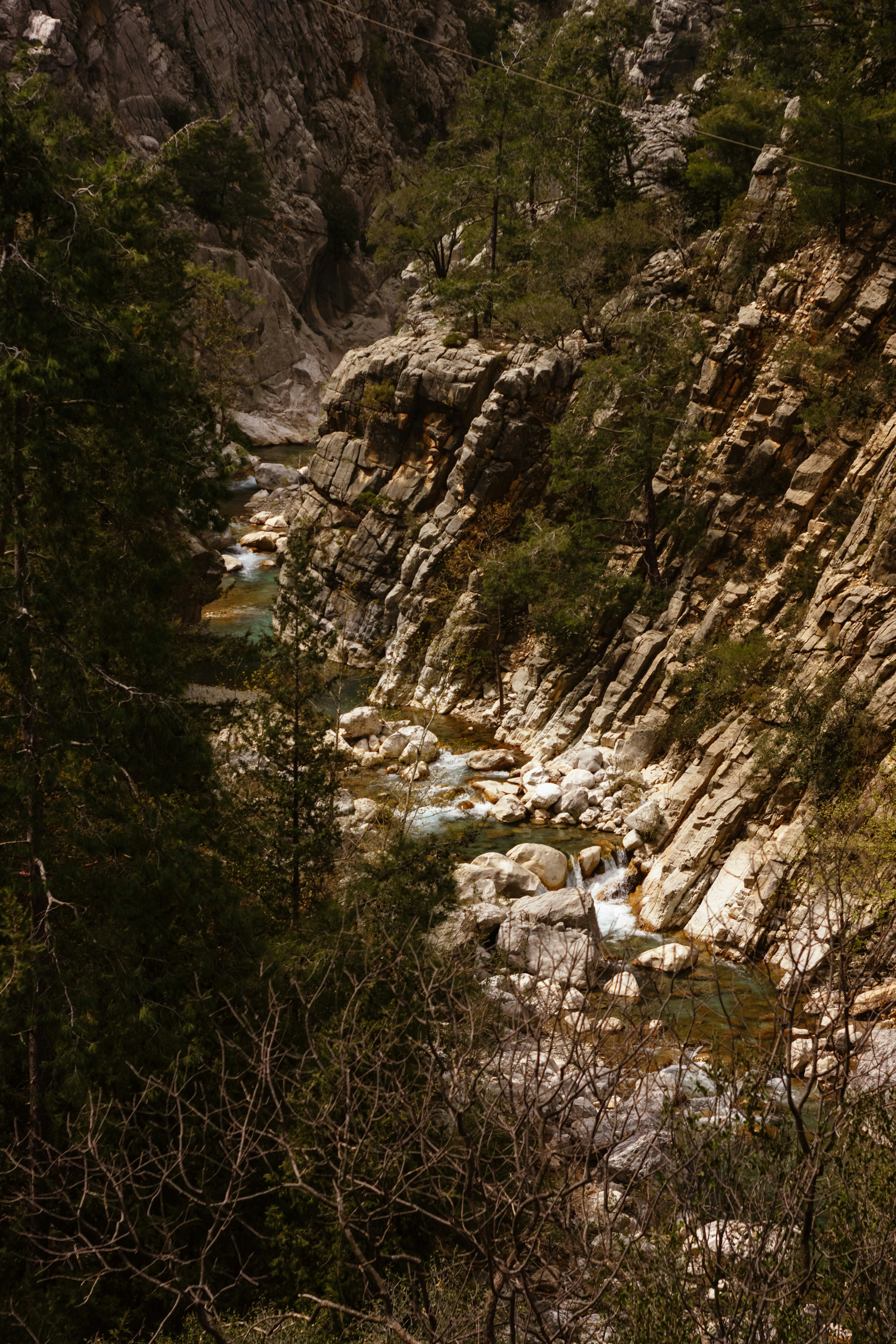 Photo by igorharrier