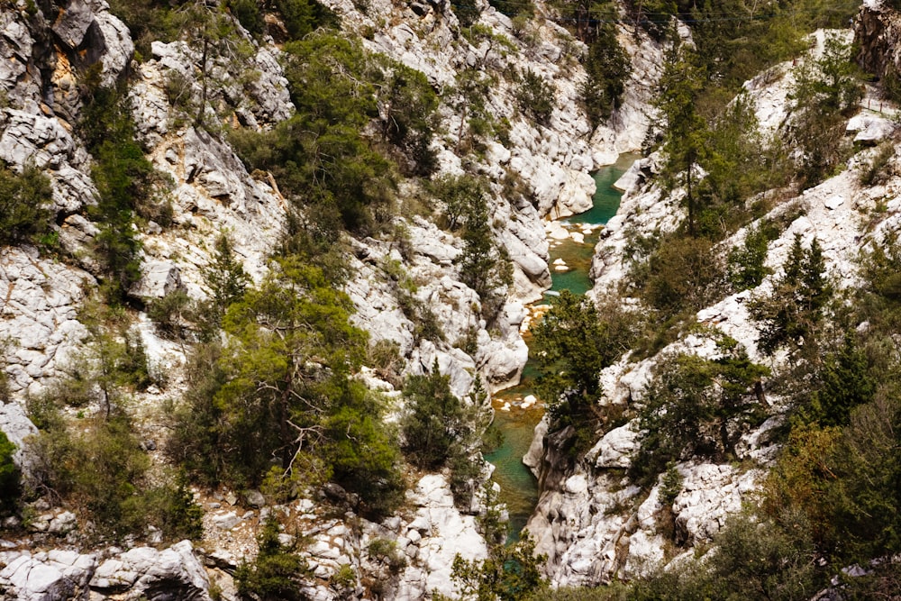 a view of a mountain with a river running through it