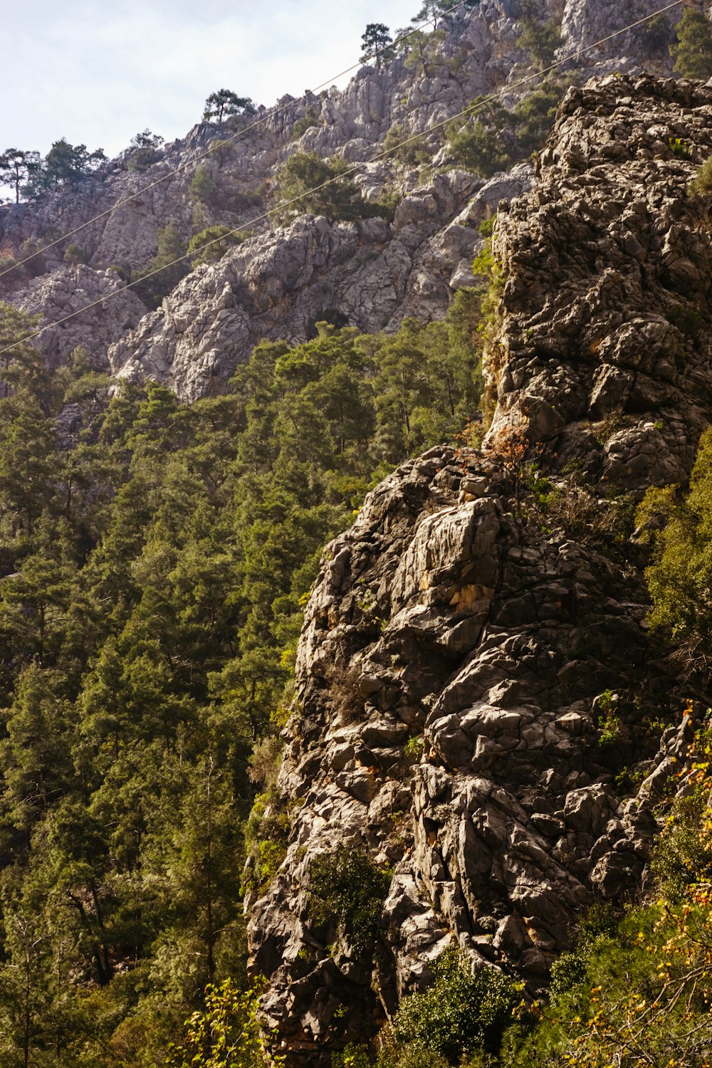 a rocky mountain with trees growing on the side of it