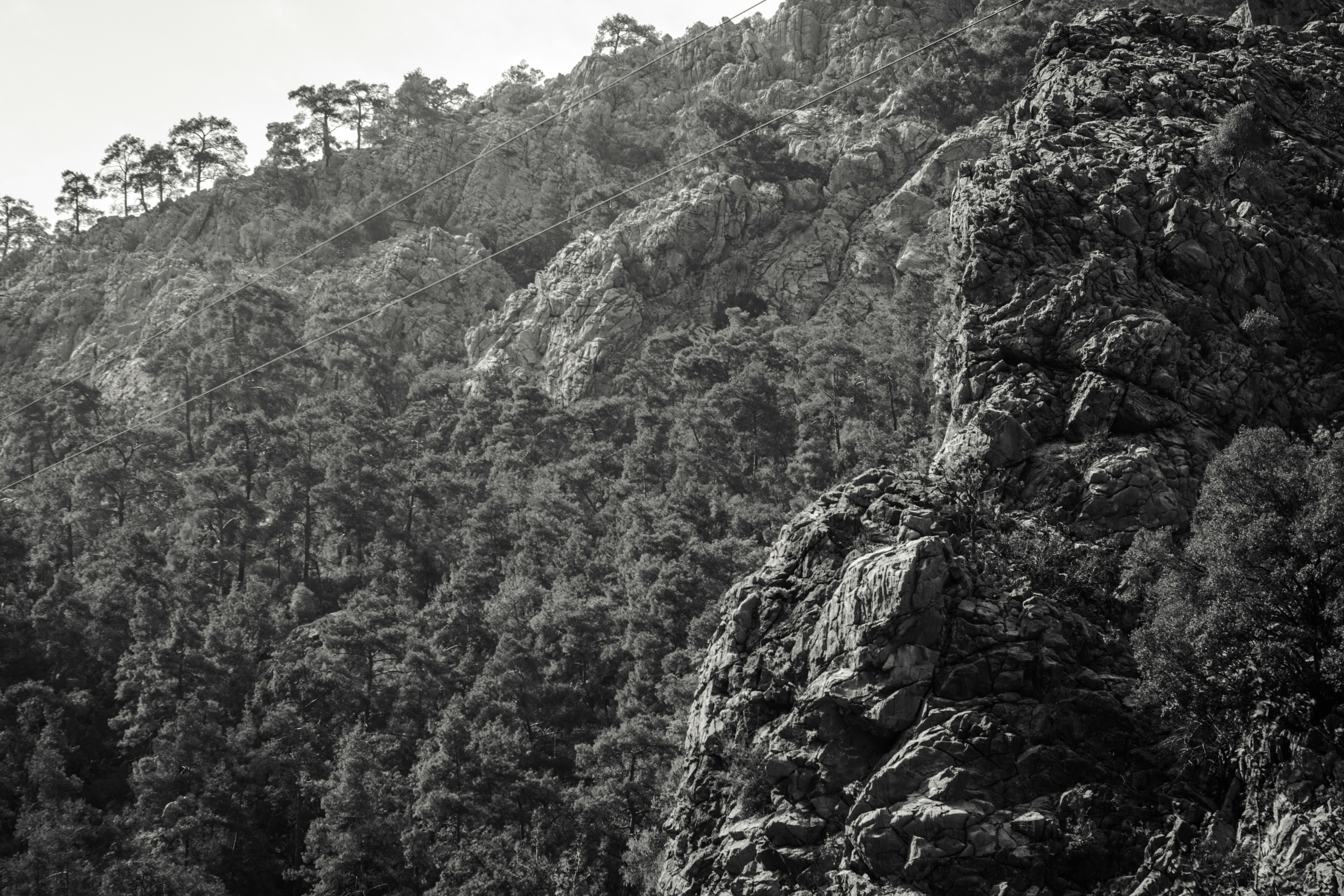 Photo by igorharrier