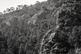 A monochromatic photograph of a rocky, forested mountainside. The terrain is rugged with large rock formations and dense tree coverage. The trees are mostly coniferous, and there are some cables running diagonally across the image, possibly for a cable car or zipline.