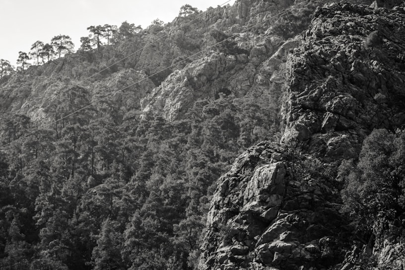 A monochromatic photograph of a rocky, forested mountainside. The terrain is rugged with large rock formations and dense tree coverage. The trees are mostly coniferous, and there are some cables running diagonally across the image, possibly for a cable car or zipline.