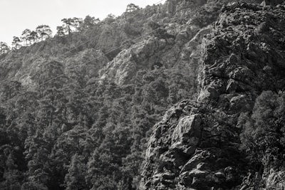 A monochromatic photograph of a rocky, forested mountainside. The terrain is rugged with large rock formations and dense tree coverage. The trees are mostly coniferous, and there are some cables running diagonally across the image, possibly for a cable car or zipline.