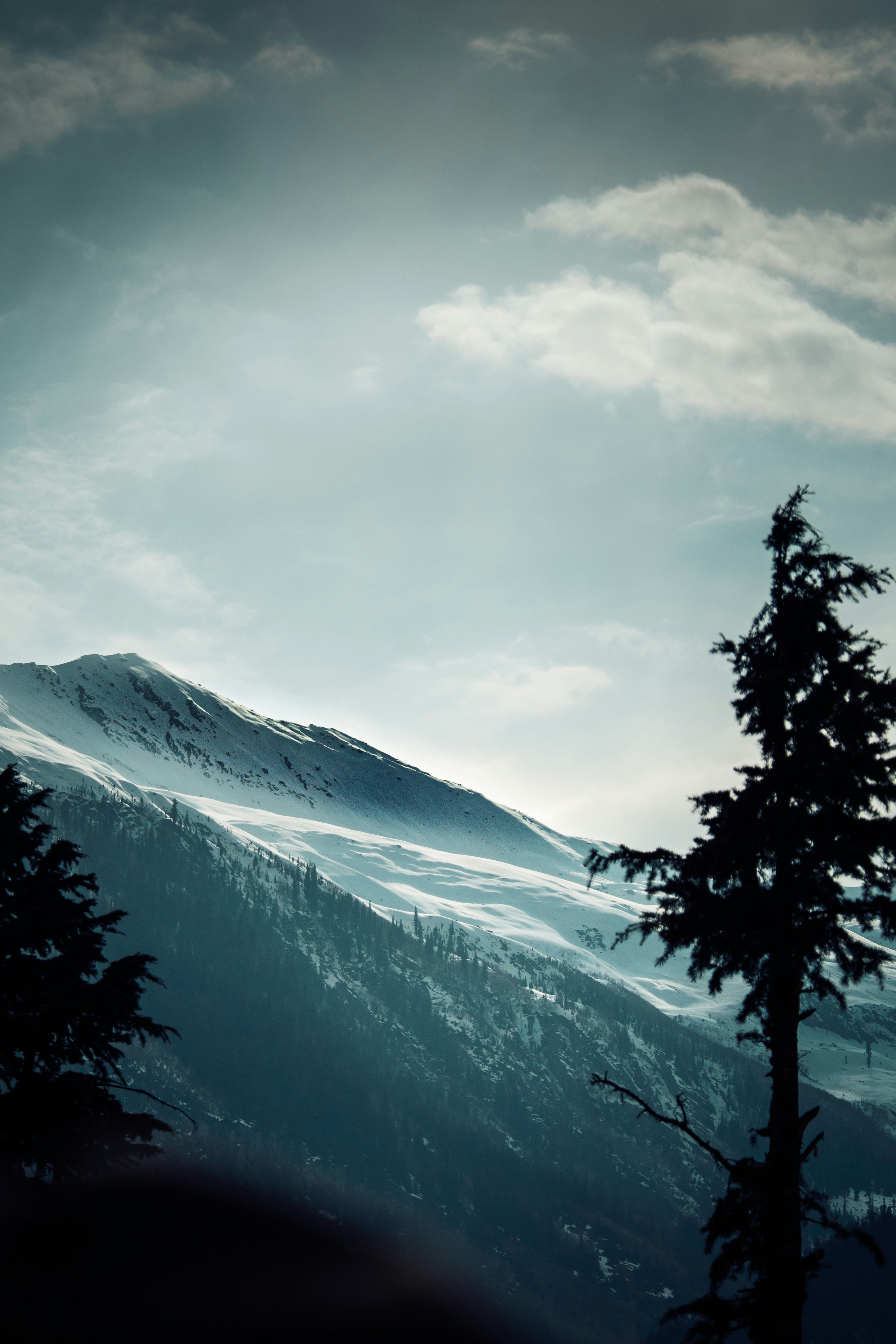 Photo by beingfarooq247365