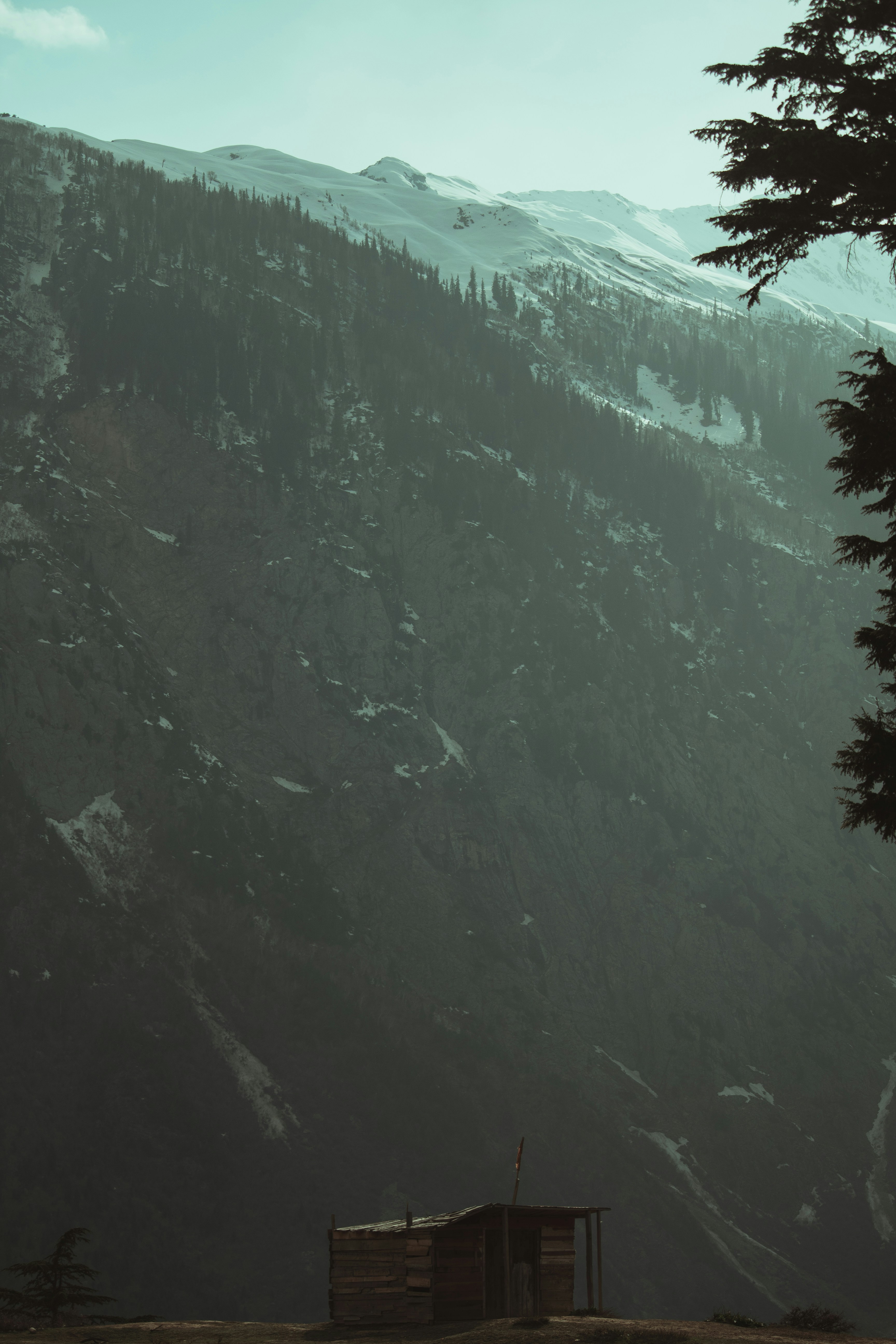 Photo by beingfarooq247365