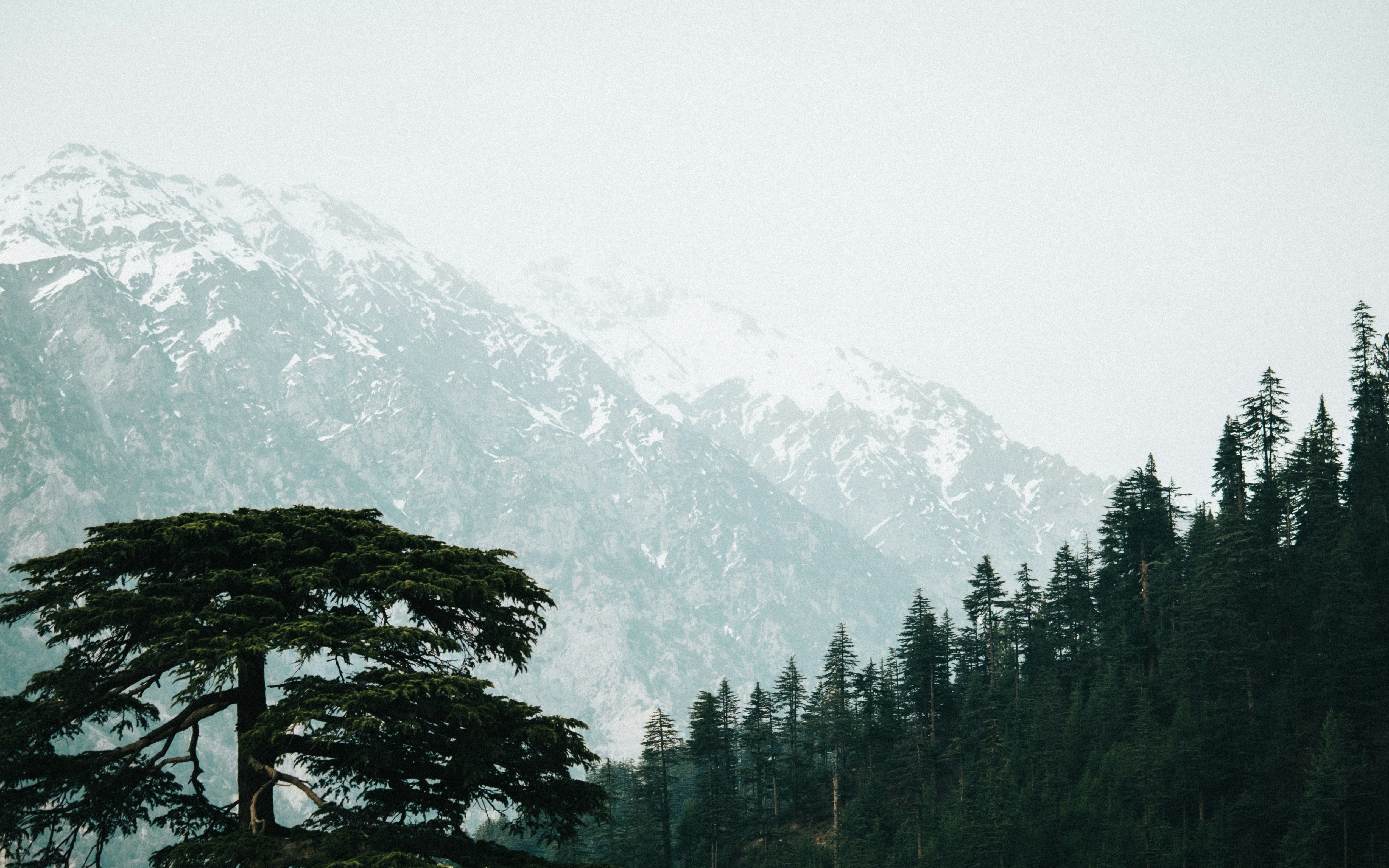 Photo by beingfarooq247365