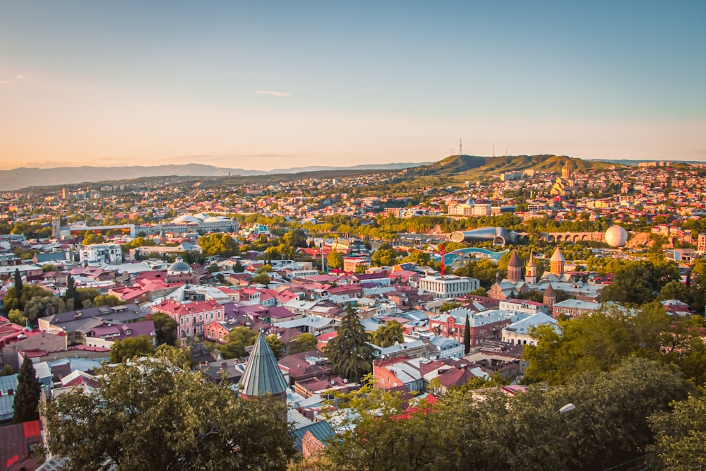 a view of a city with a mountain in the background