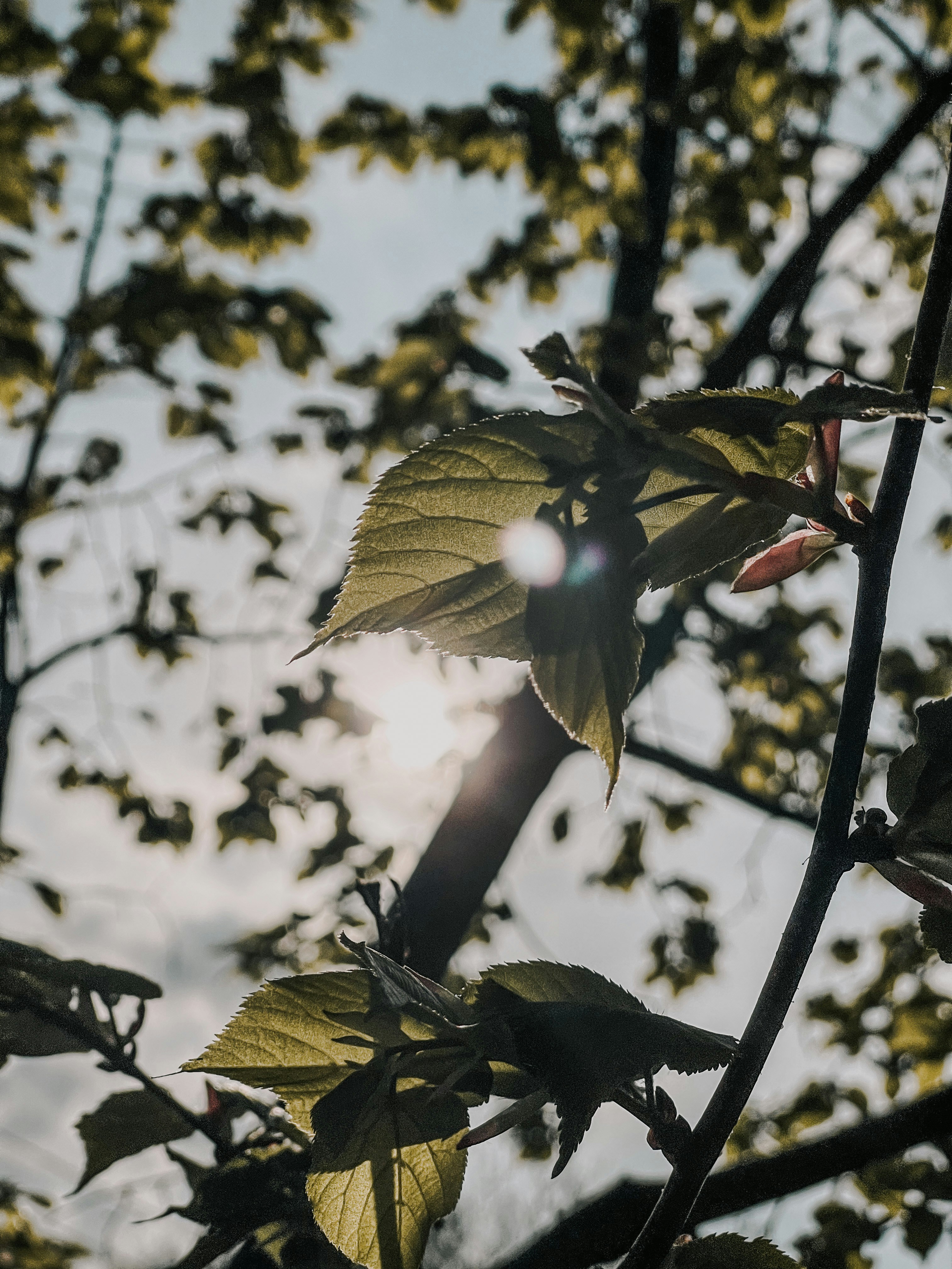 Photo by inatalian