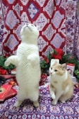 Two cats are positioned in front of a colorful, patterned fabric backdrop with Christmas decorations around them. One cat is standing on its hind legs with its front paws slightly raised, while the other is sitting on its haunches, looking attentive. The scene includes festive elements such as a red bow and greenery.