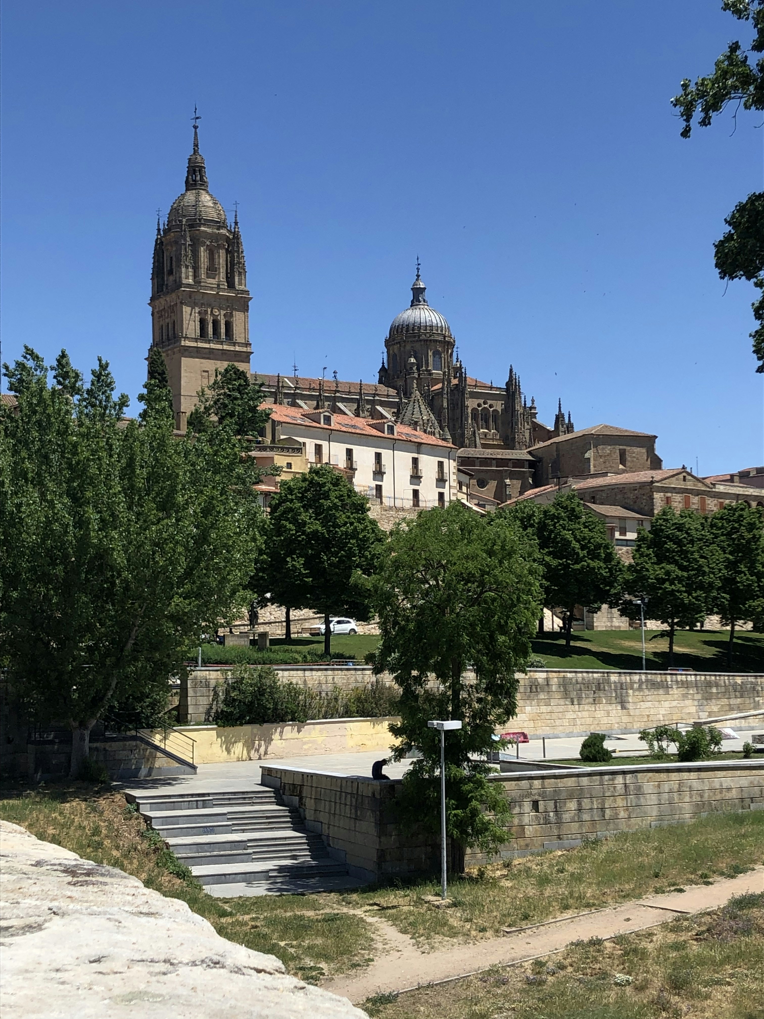 Salamanca Cathedral Towers photo 2