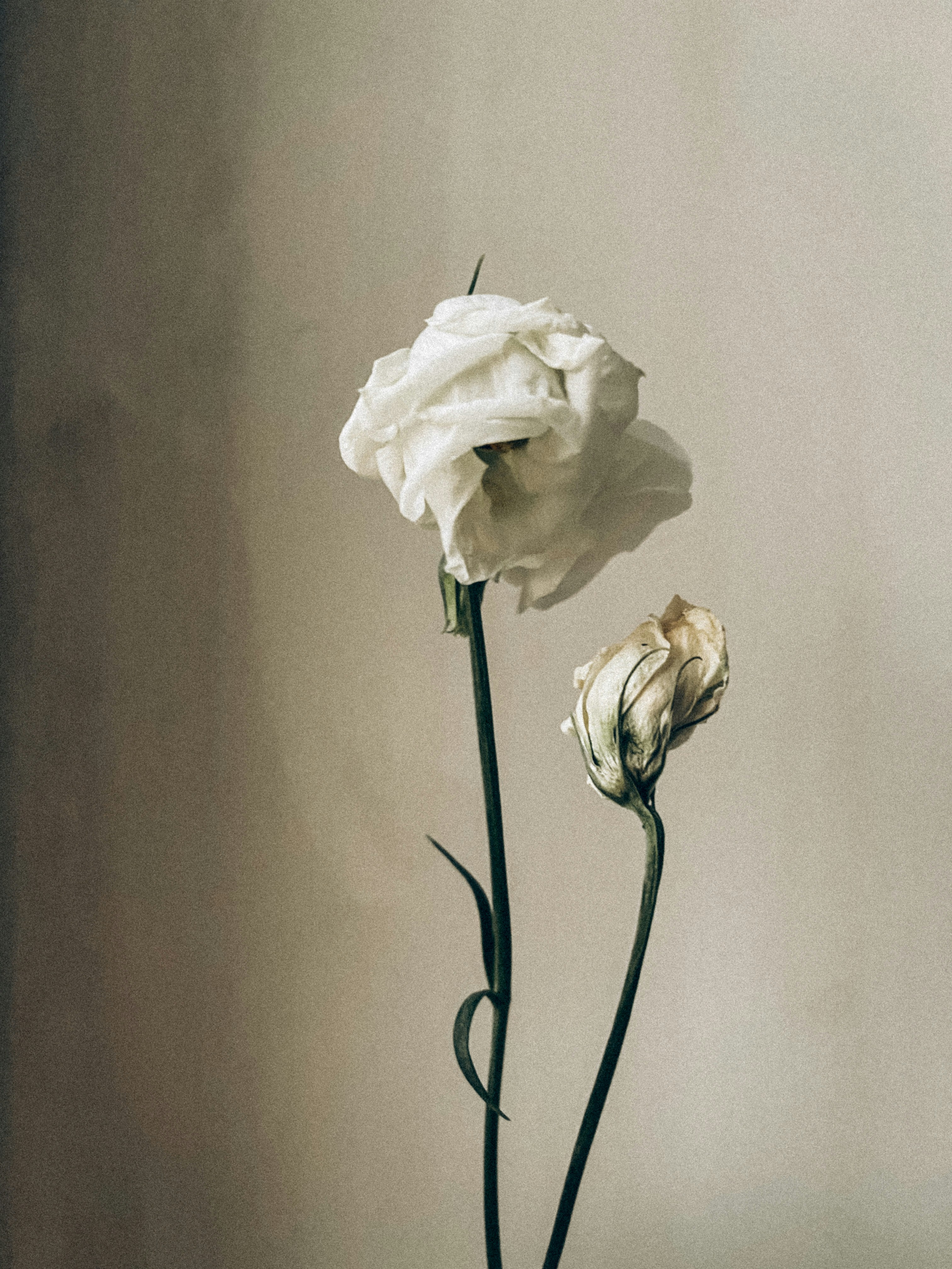 Natalian (@inatalian) | Unsplash Photo Community