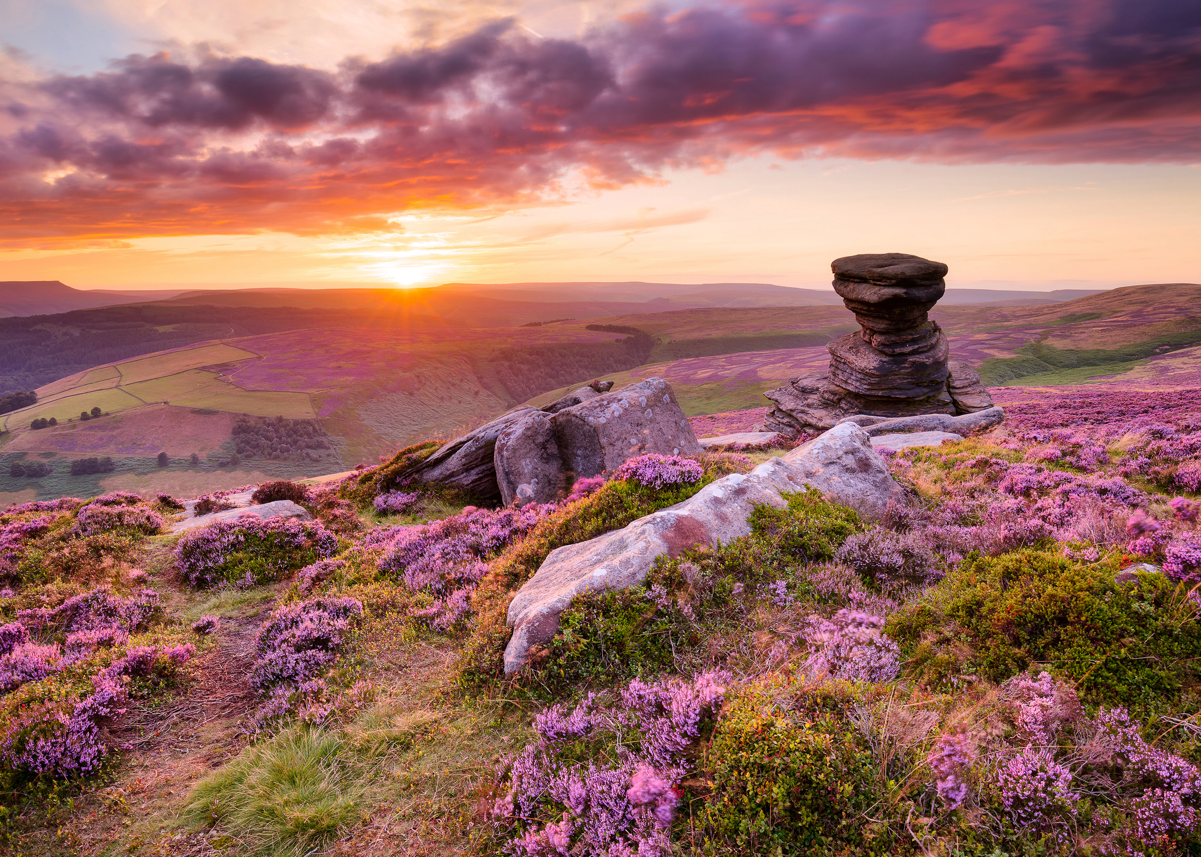 The Salt Cellar rock on Derwent Edge among purple heather