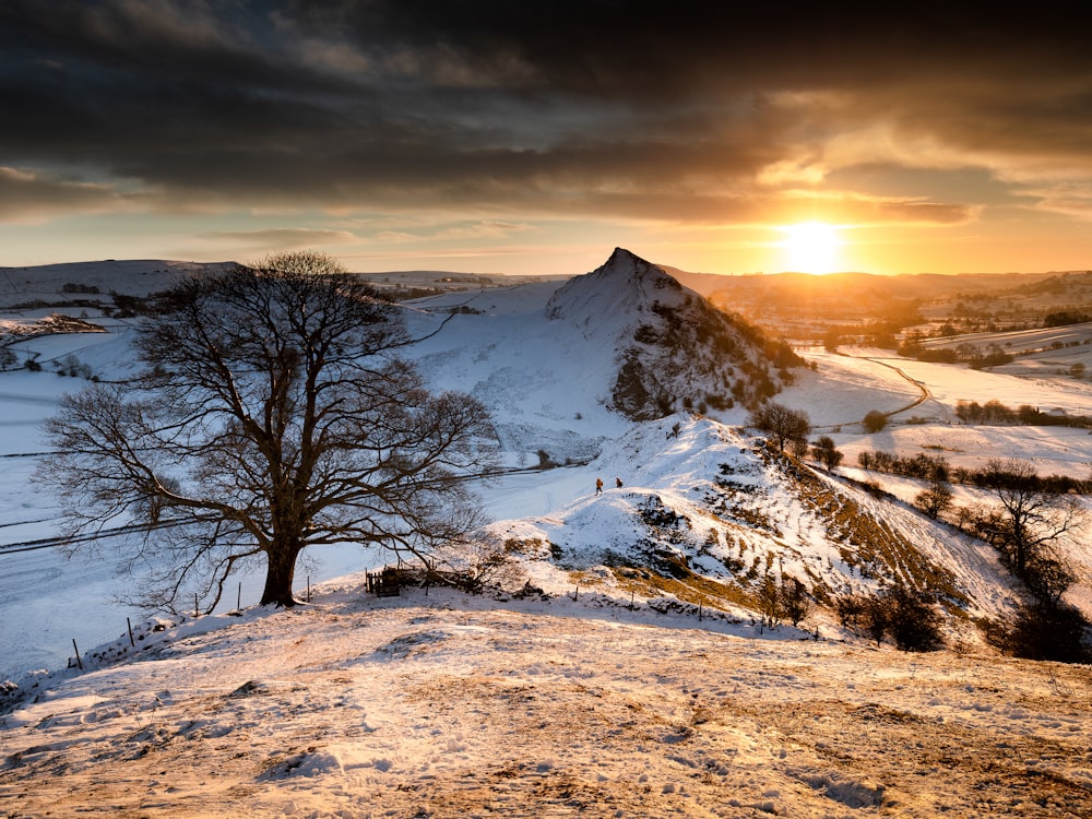 a lone tree on top of a snow covered hill