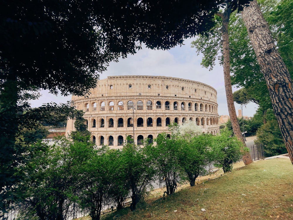a view of a roman colossion through some trees