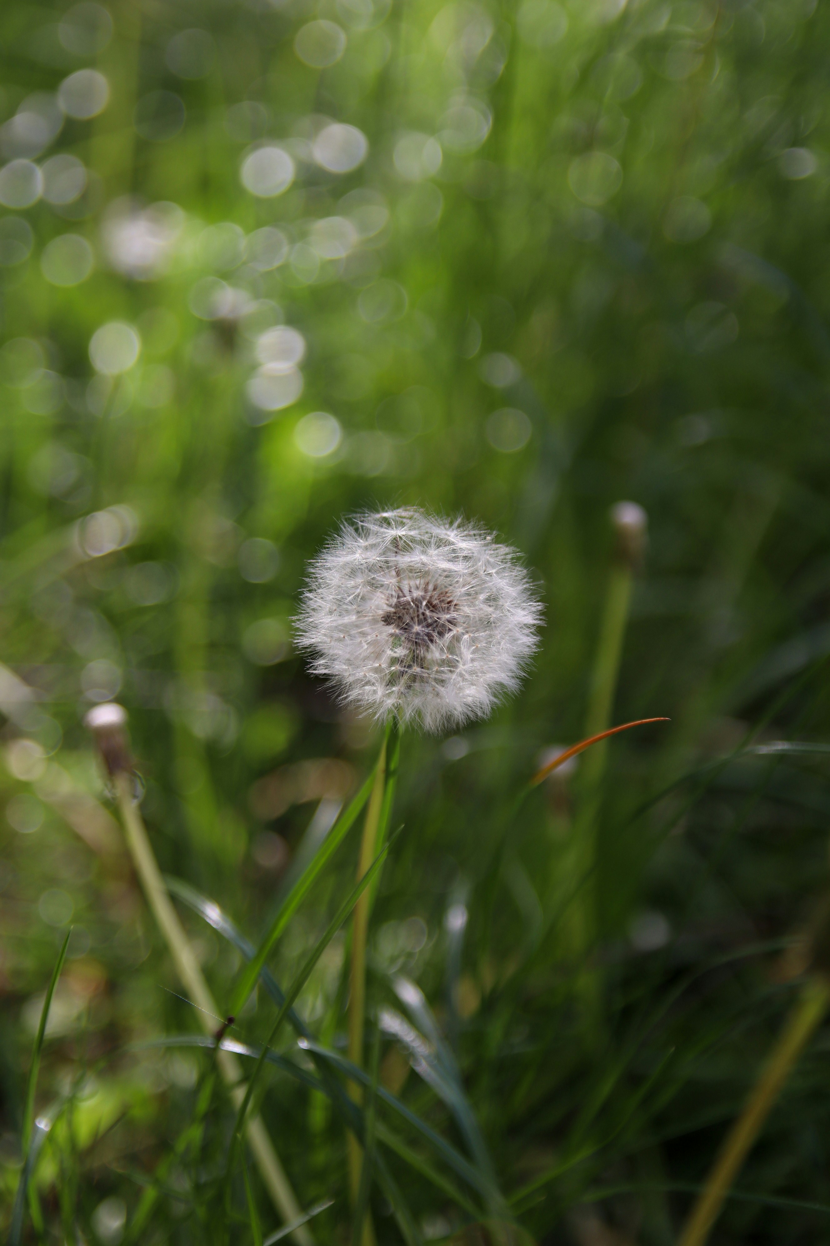 Photo by feeling_hope