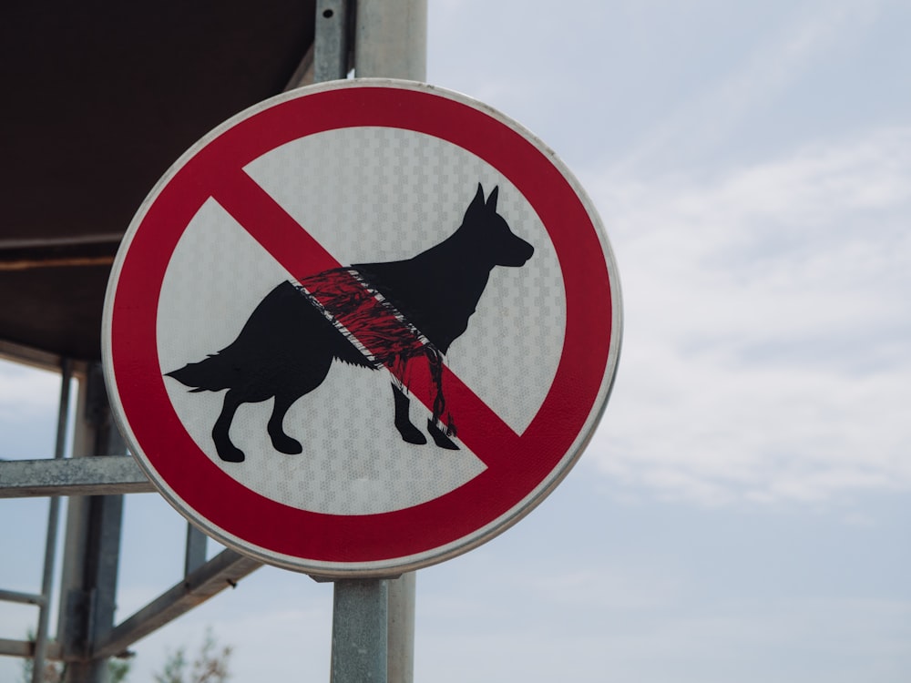un panneau interdit aux chiens autorisés sur un poteau