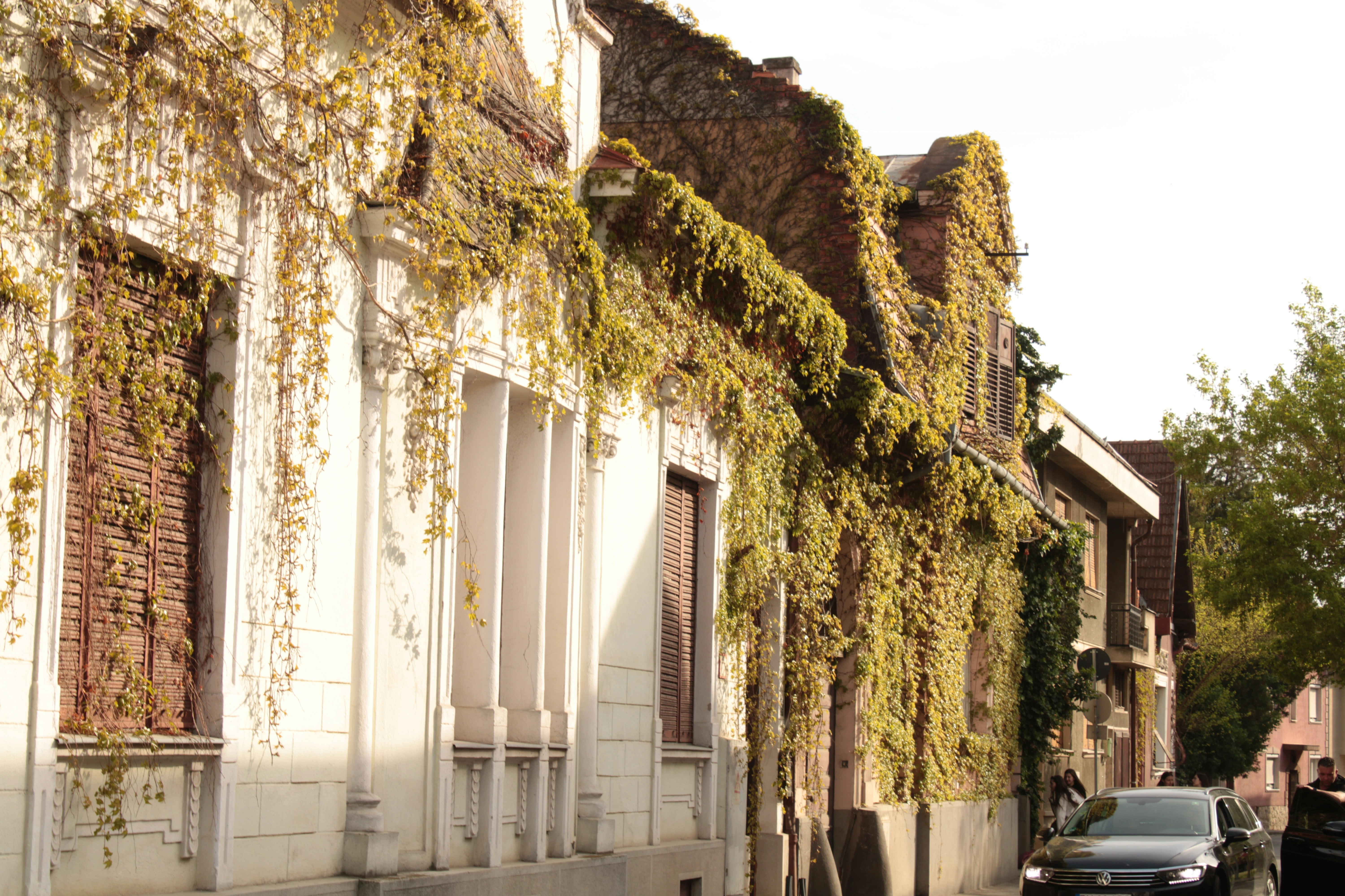 Oradea Streets 2, Romania