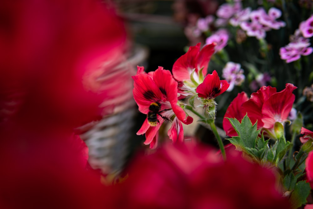 a bunch of flowers that are in a vase