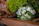 Close-up of a bright bouquet of mixed flowers wrapped in rustic paper.
