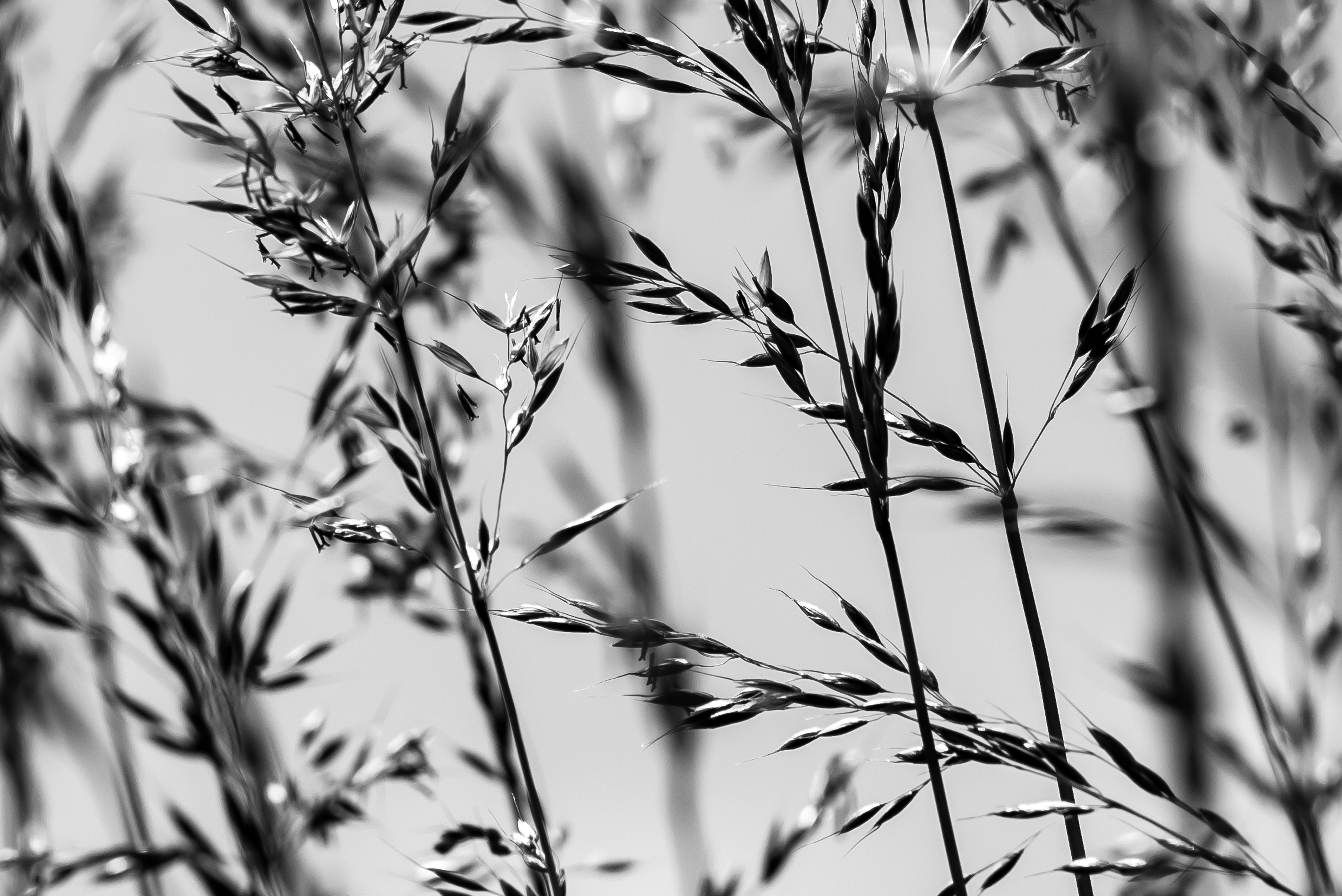 Photo by switch_dtp_fotografie