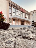 A building with a sign in Cyrillic script, possibly a cinema, features large windows and an entrance with a canopy. The foreground includes a stone pathway and a planter with red flowers. The sky is clear, and adjacent buildings are visible.
