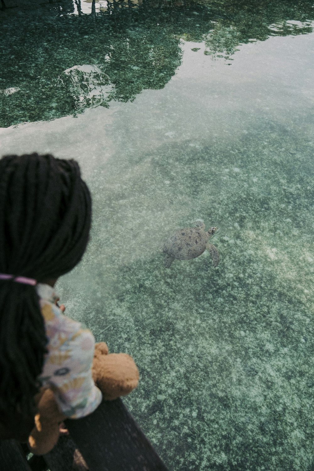 a little girl looking at a turtle in the water