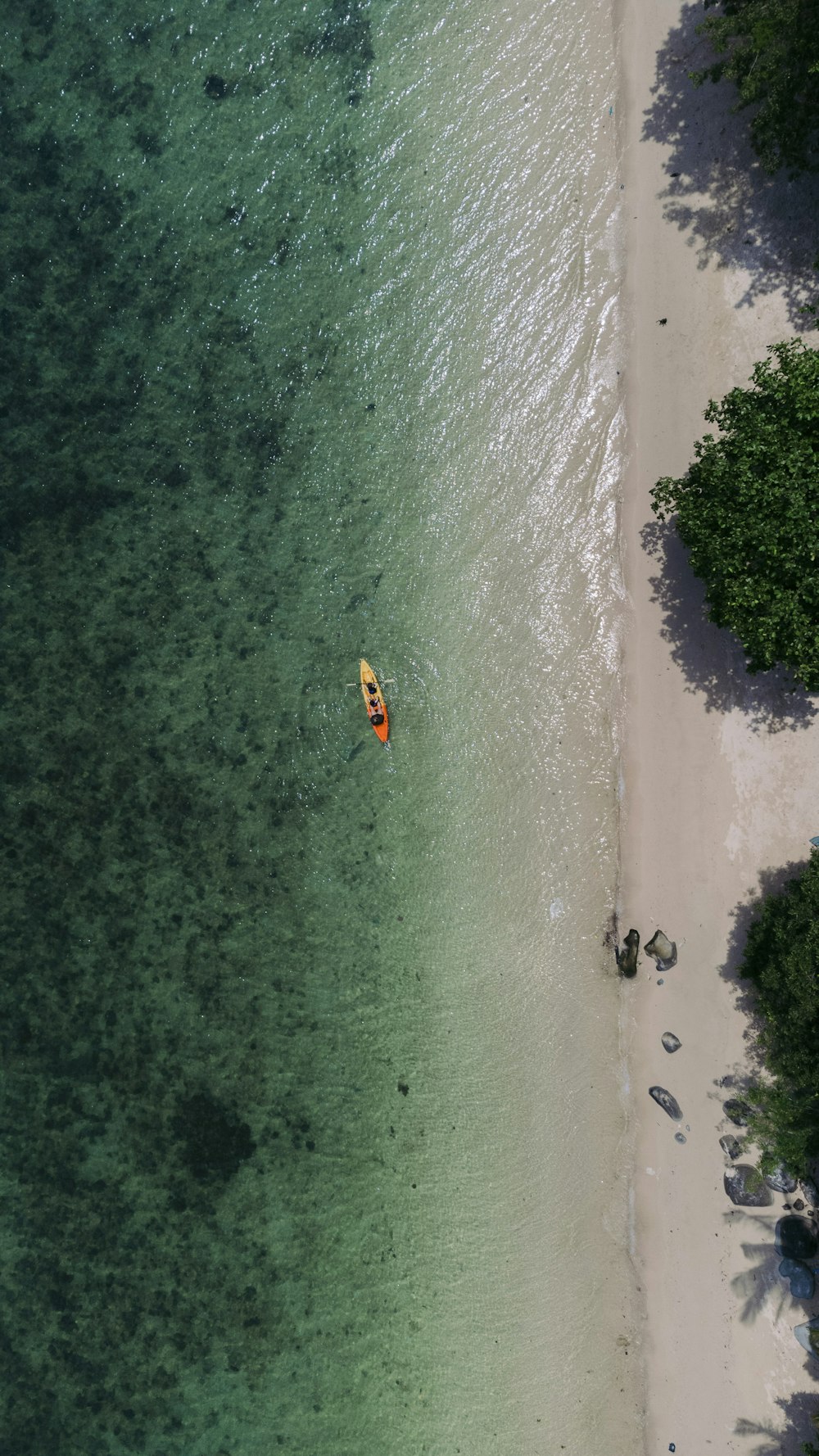 an aerial view of a beach with a kayak in the water