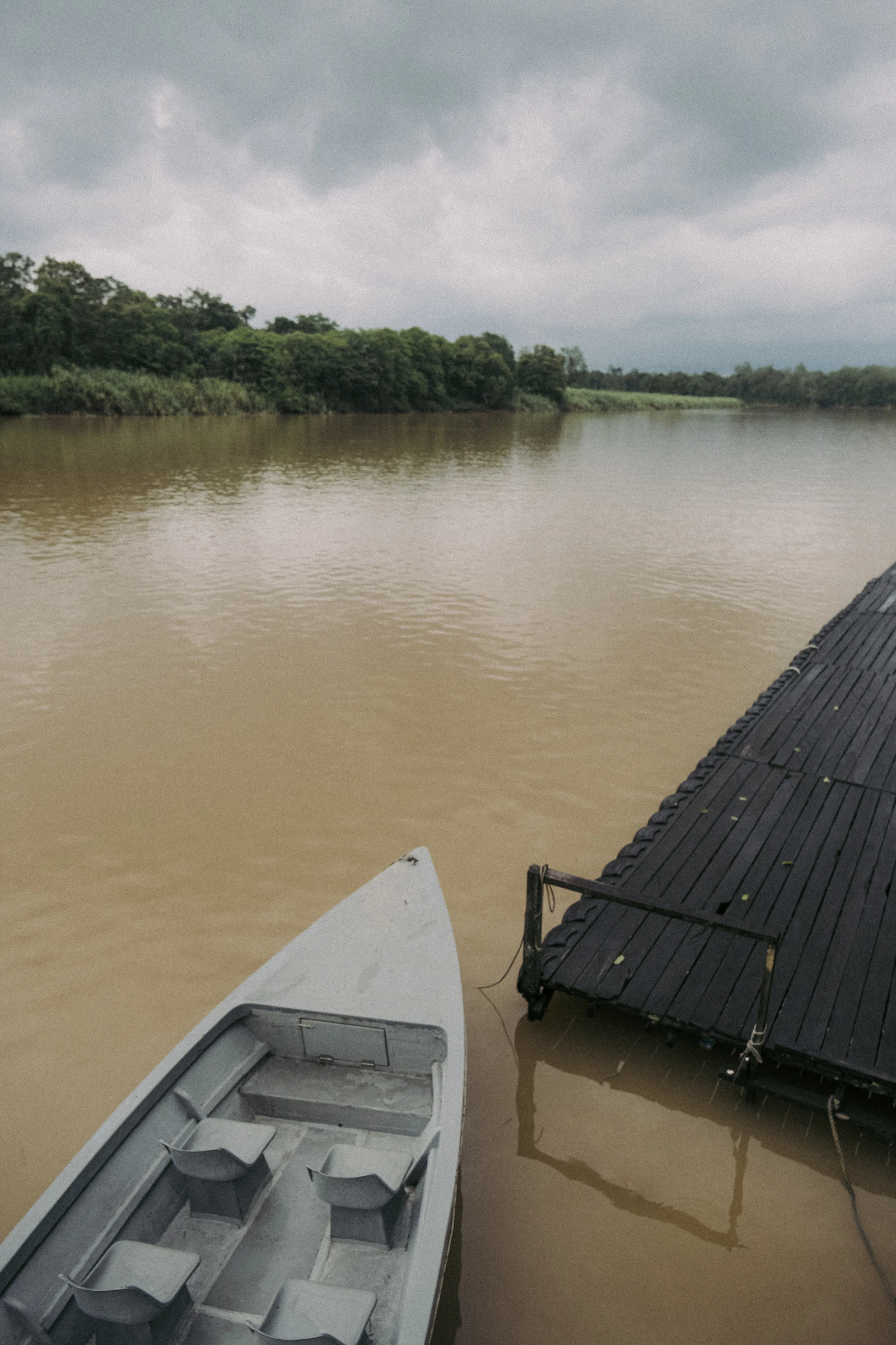 4-Day Tanjung Puting Orangutan River Safari by Wooden Klotok