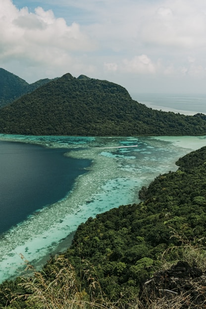 a body of water surrounded by mountains and trees