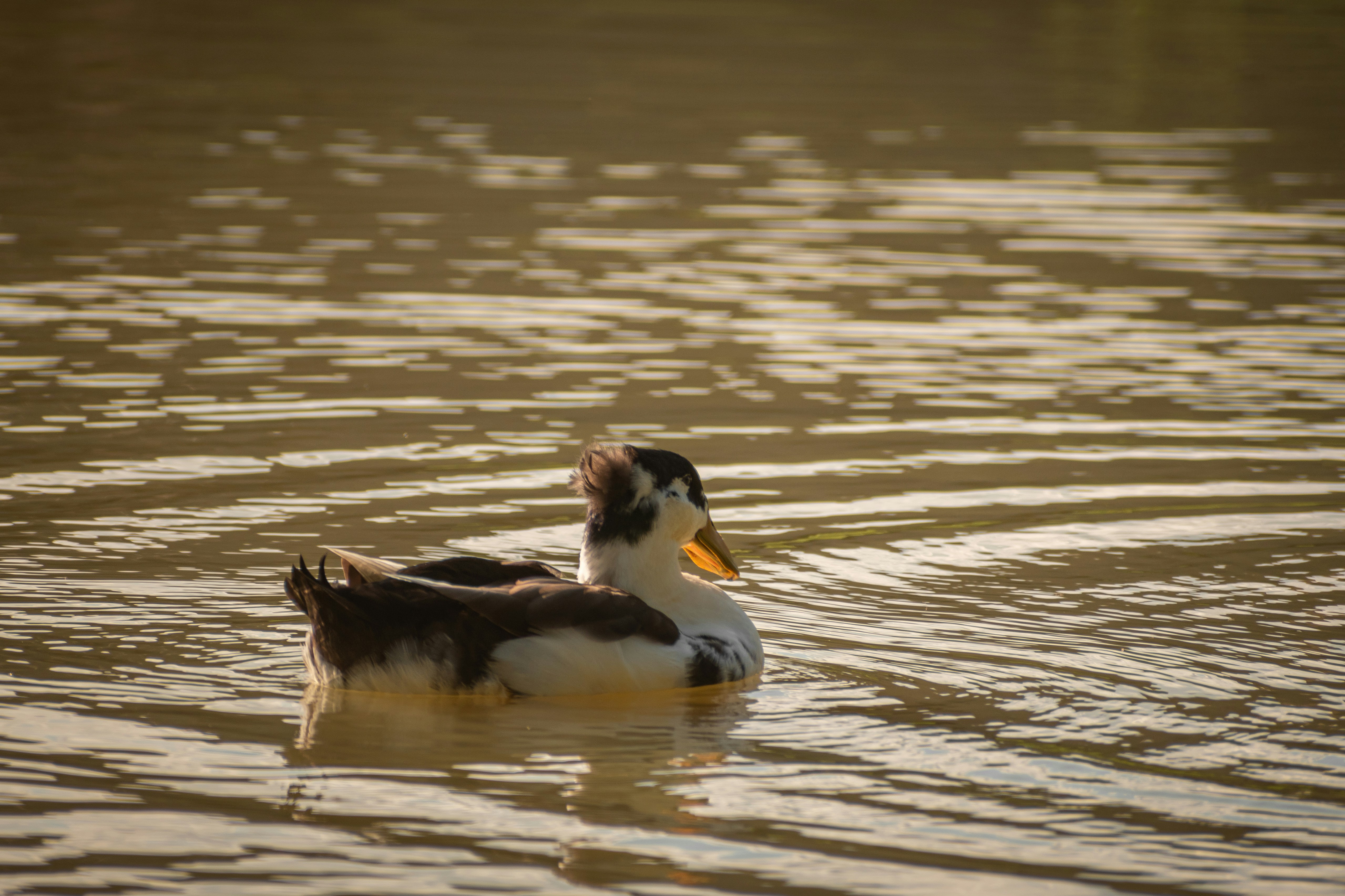 Photo by ardilavisuals