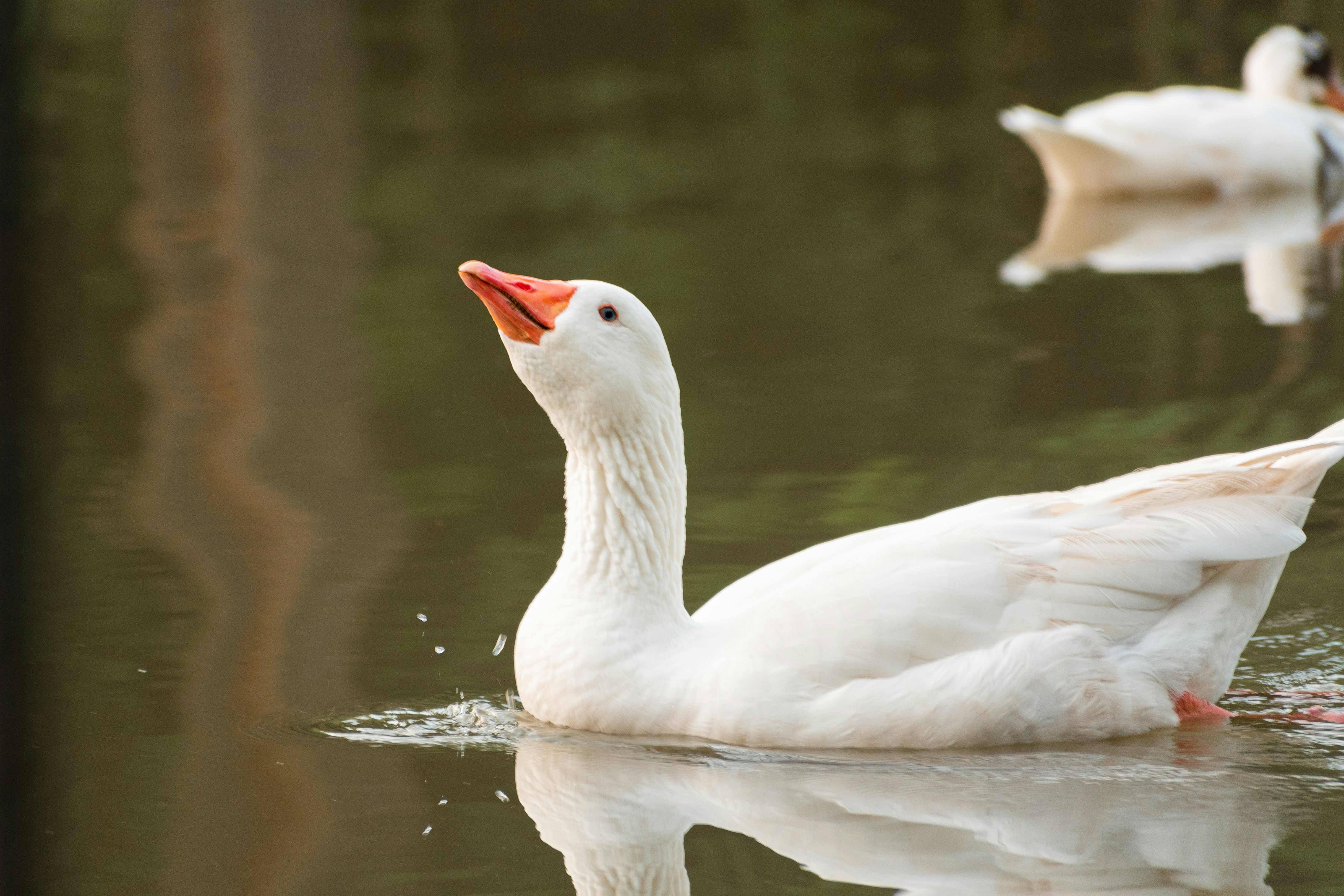 Photo by ardilavisuals