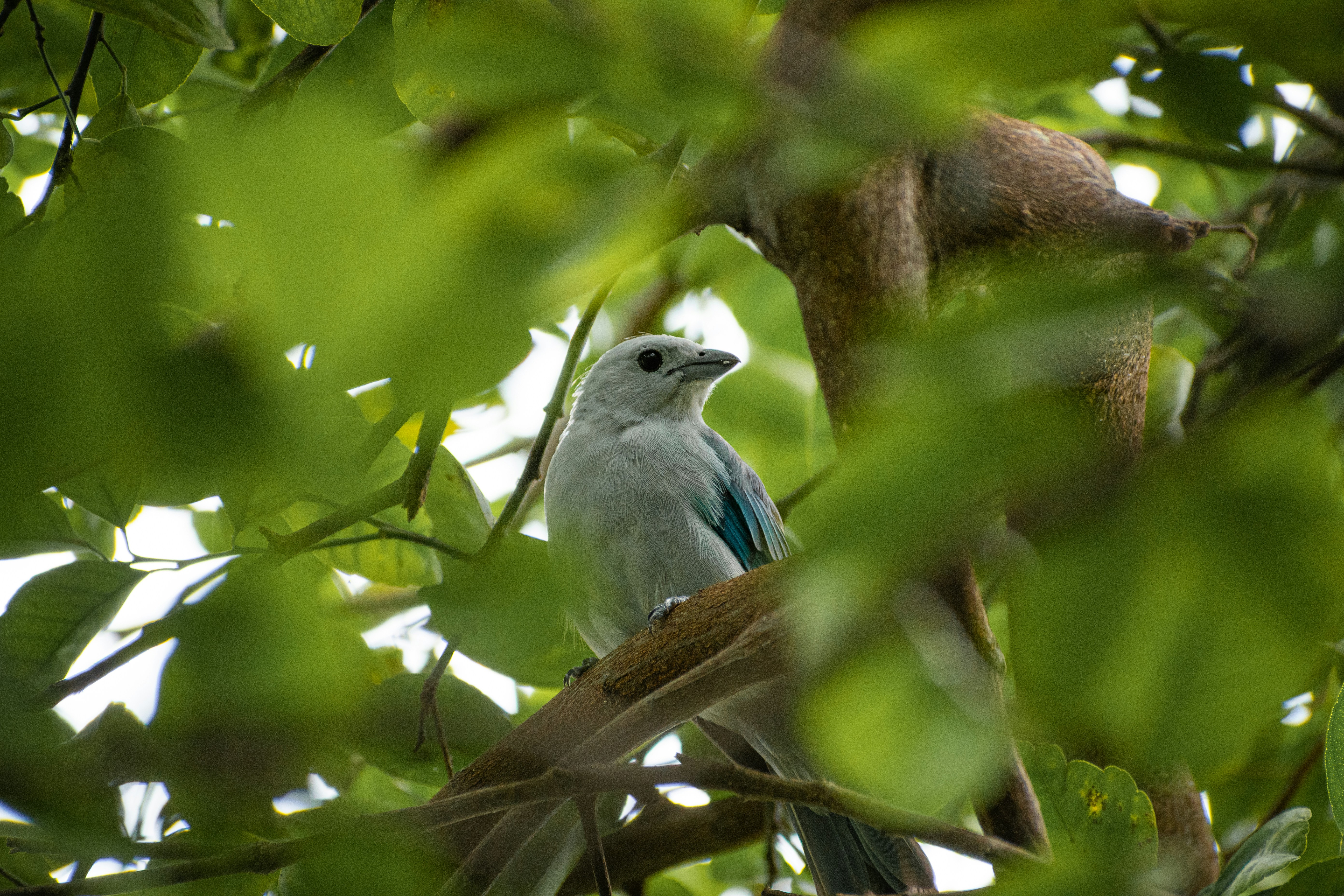 Photo by ardilavisuals