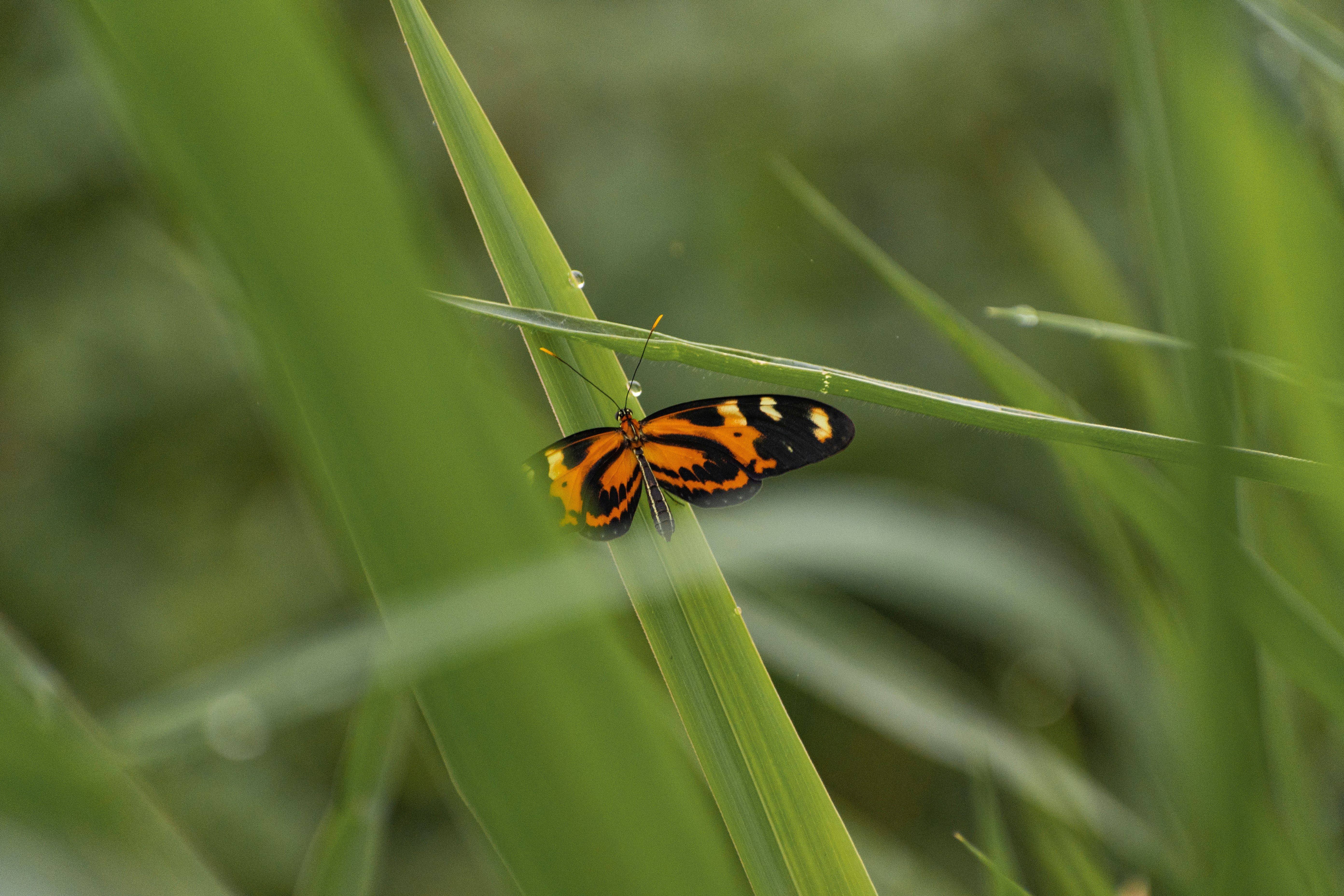 Photo by ardilavisuals