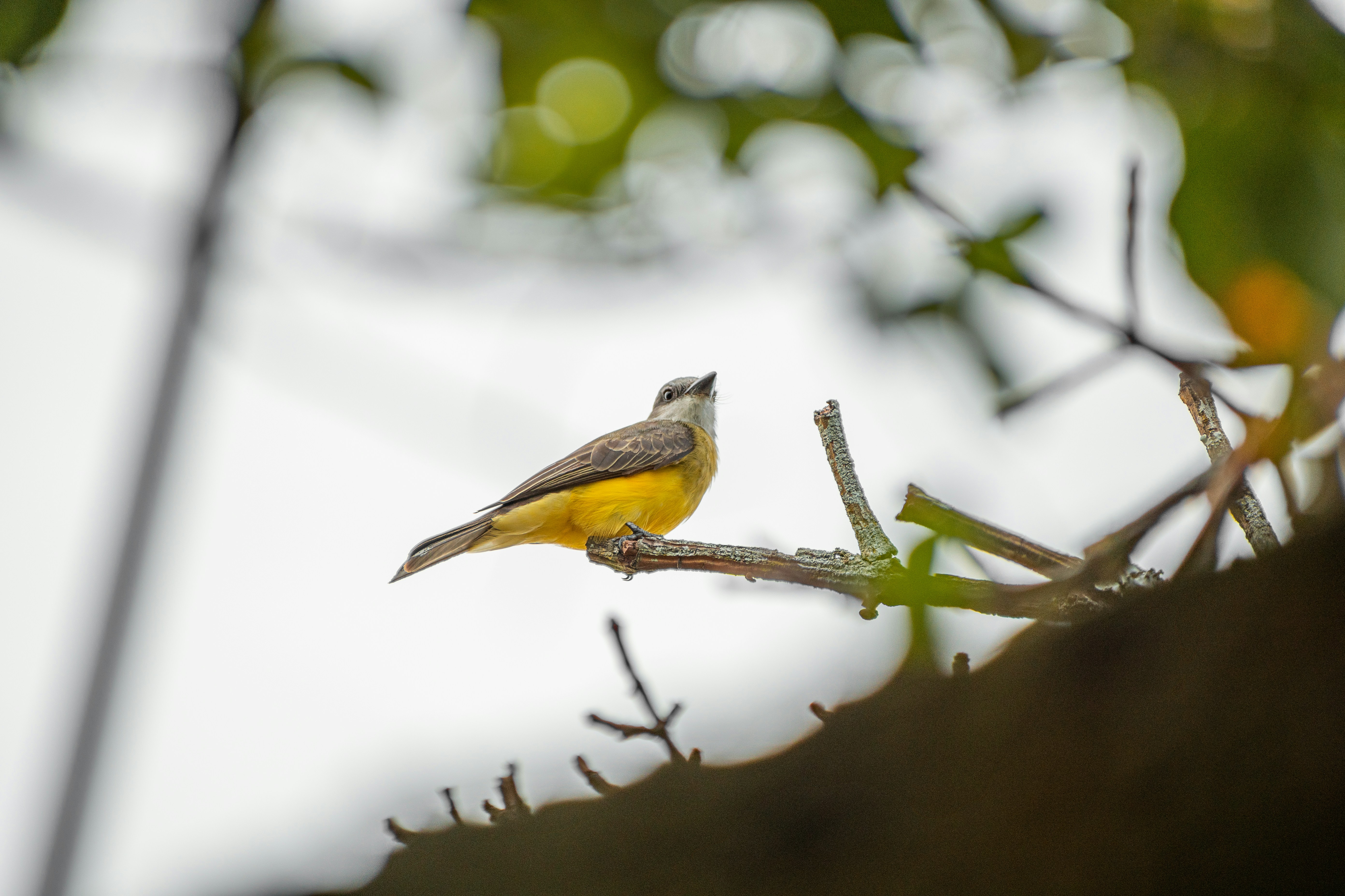 Photo by ardilavisuals