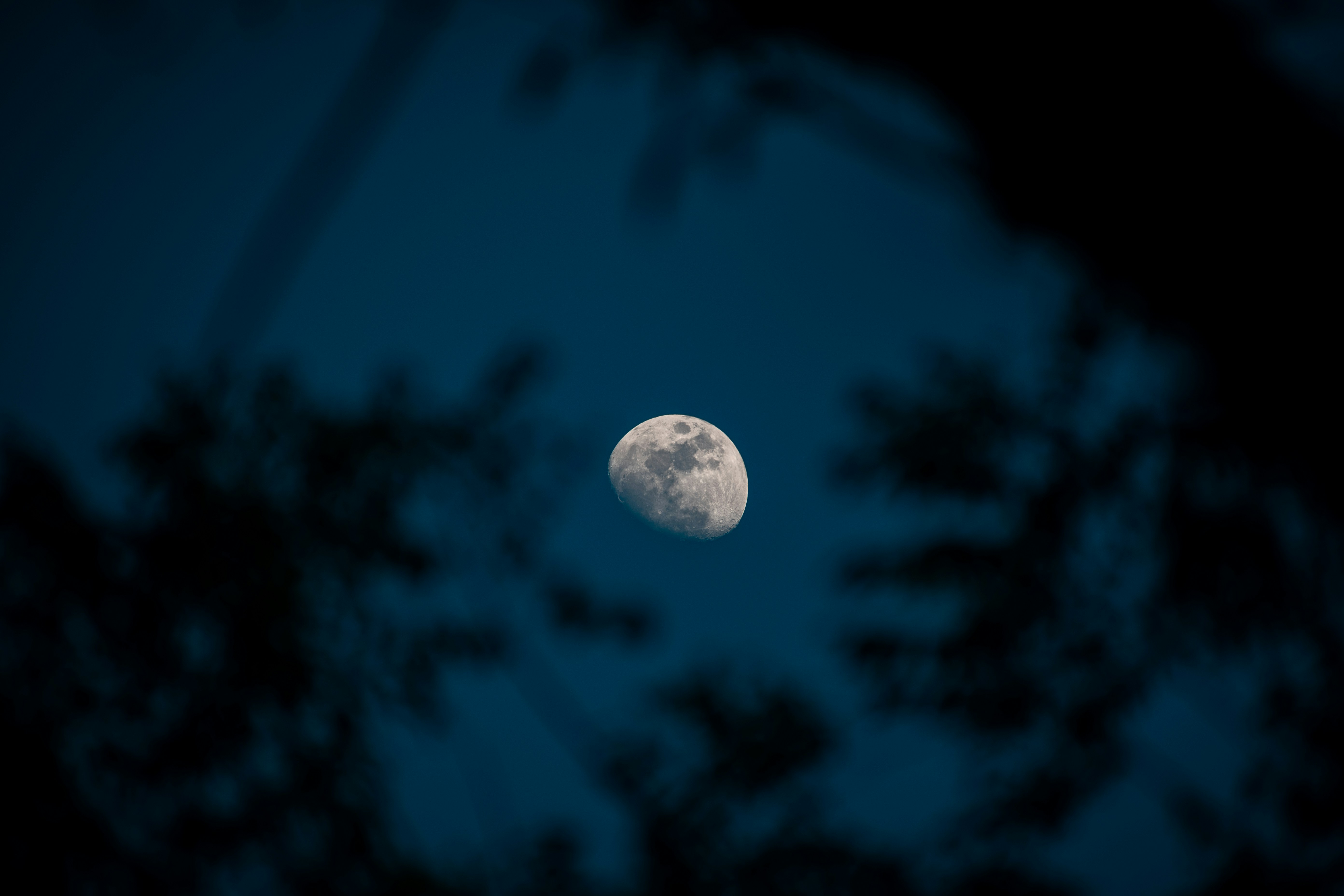 Photo by ardilavisuals