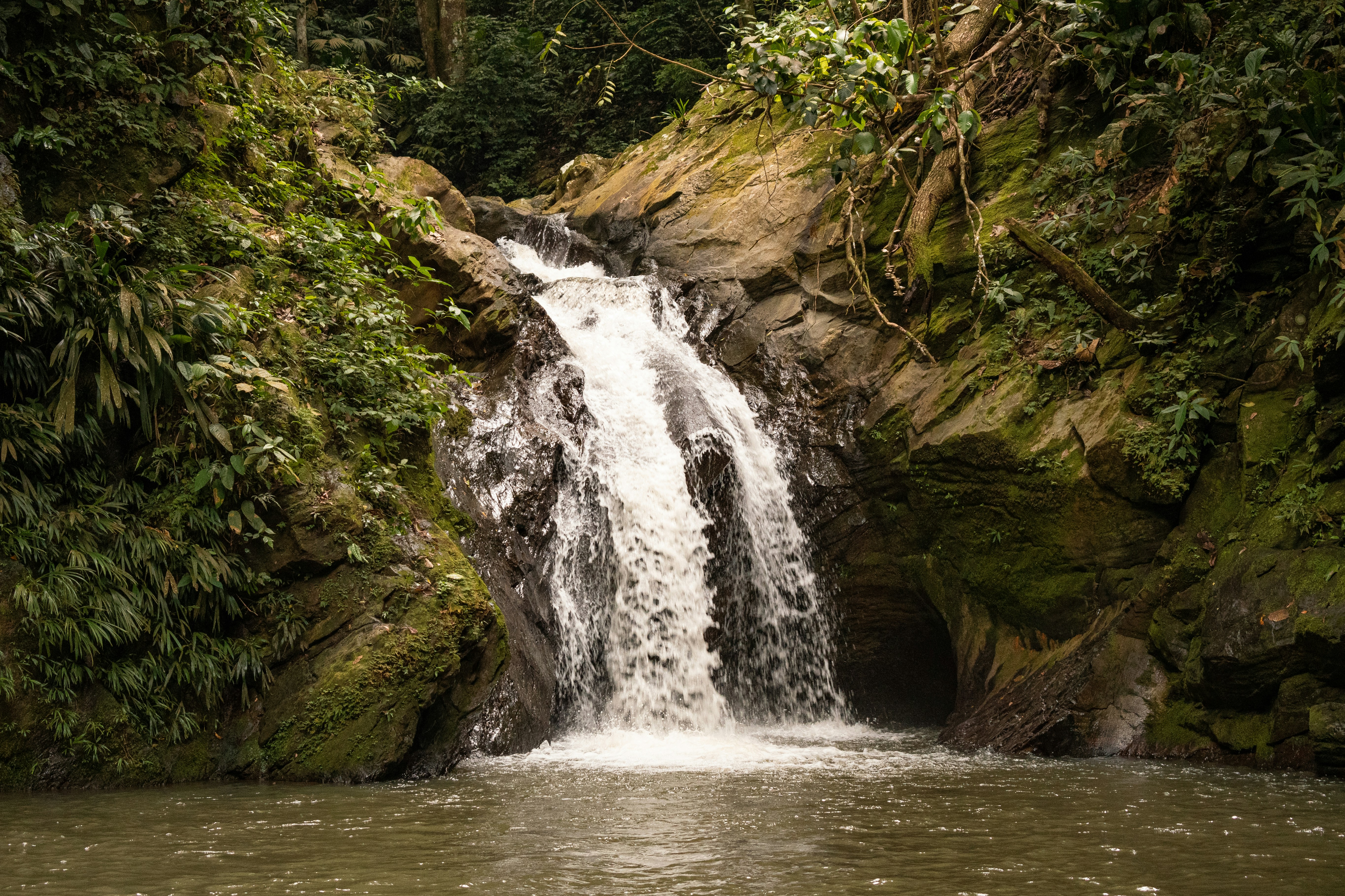 Photo by ardilavisuals