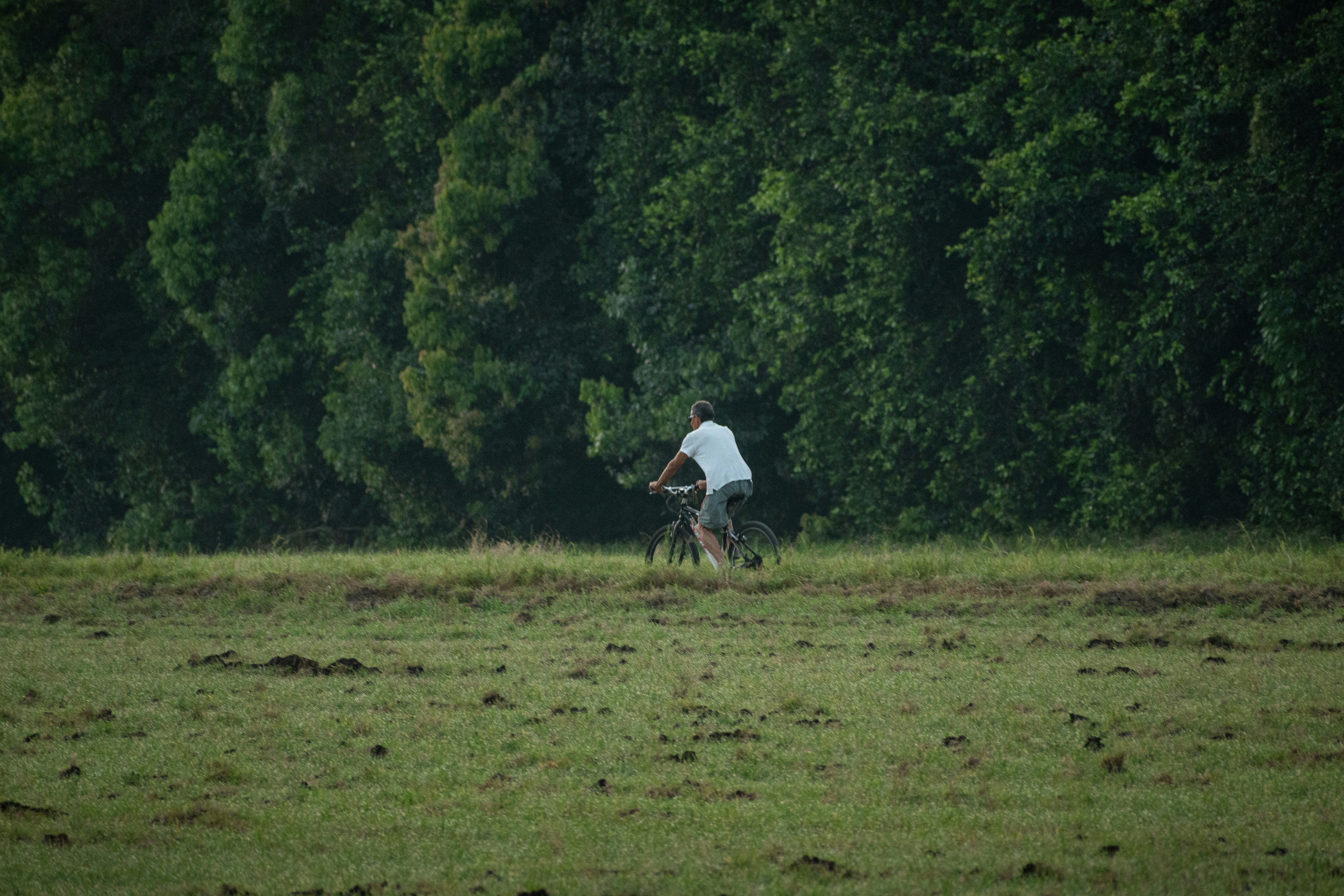 Cyclist riding a gravel bike on a forest trail