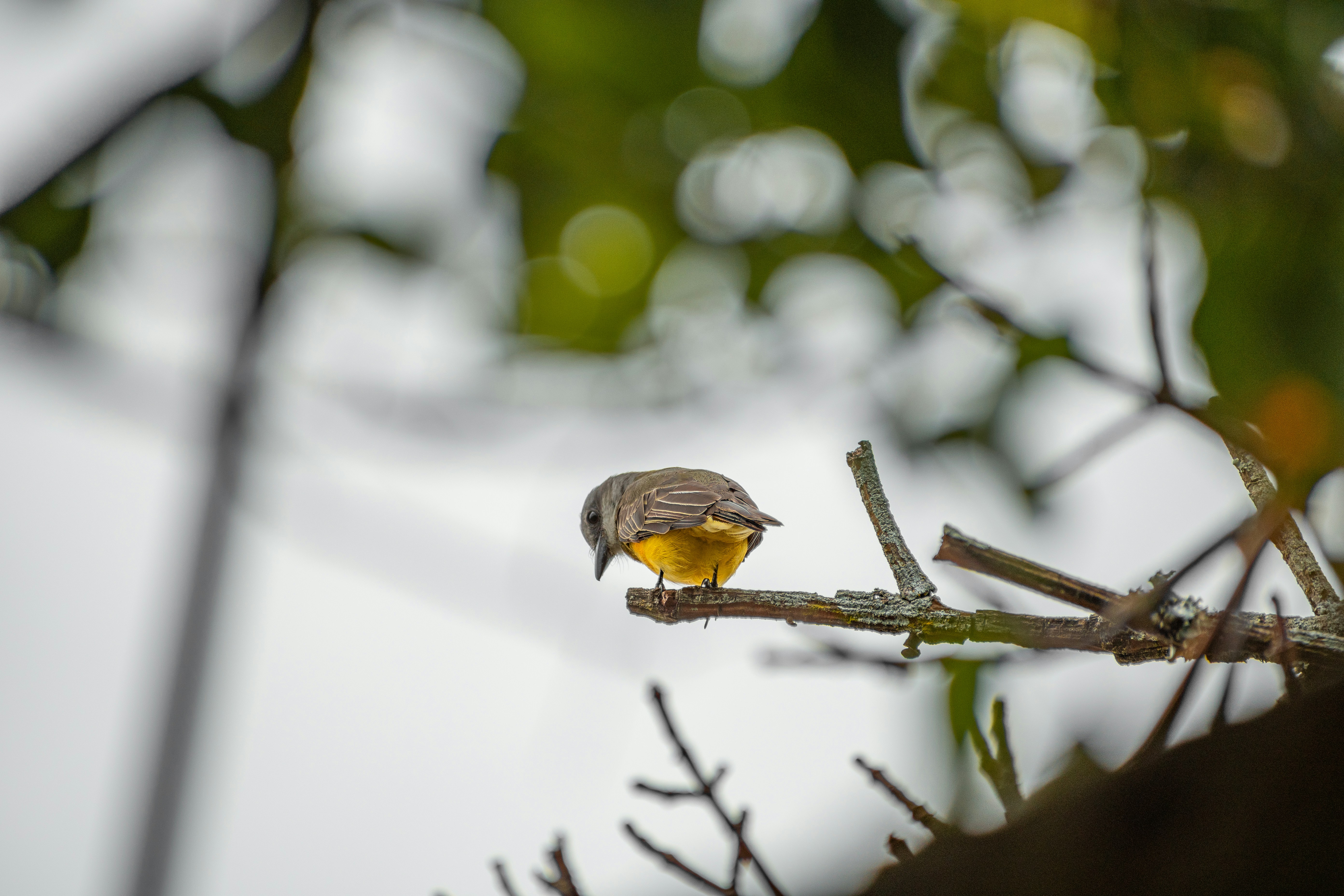 Photo by ardilavisuals