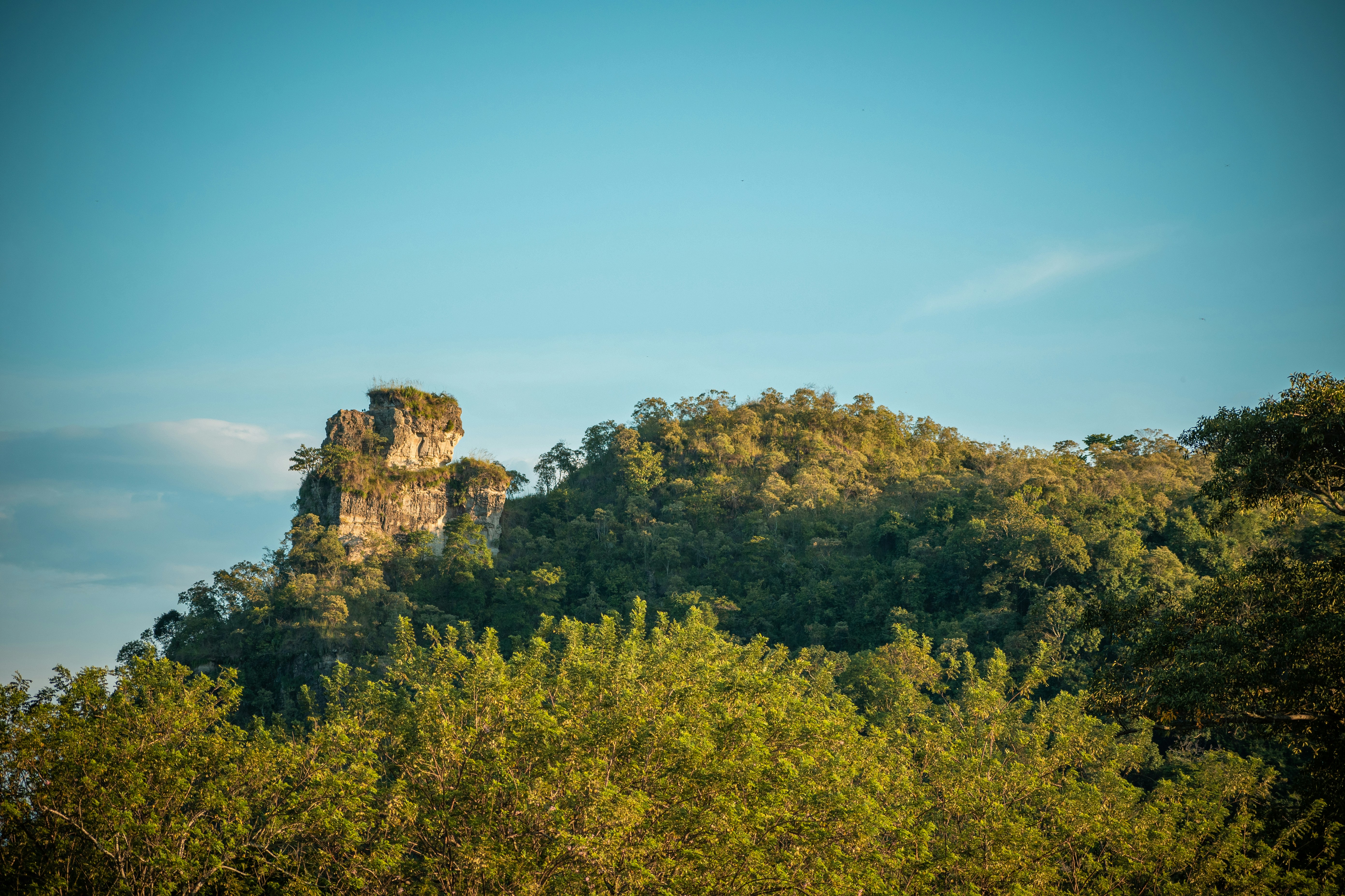 Photo by ardilavisuals