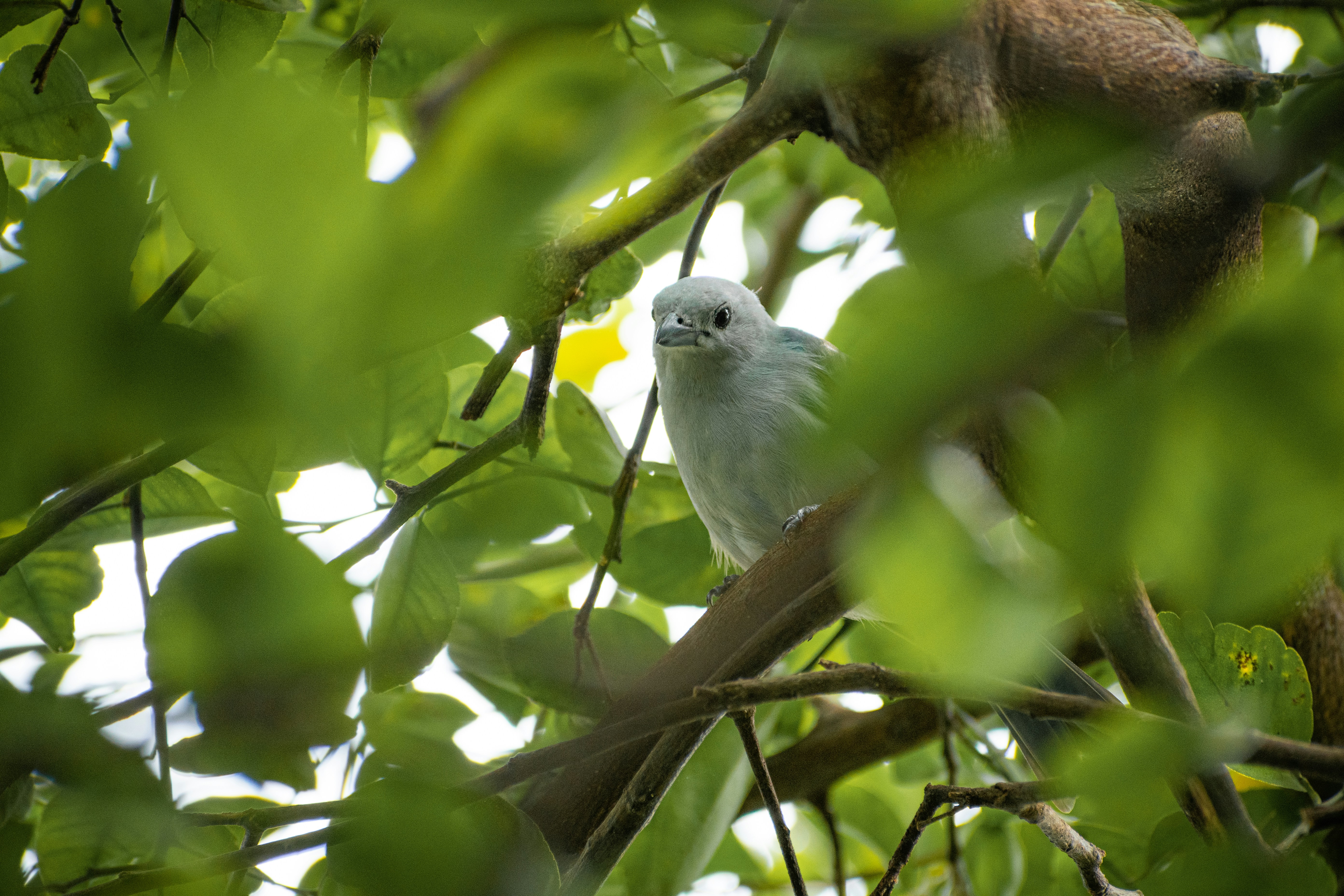 Photo by ardilavisuals