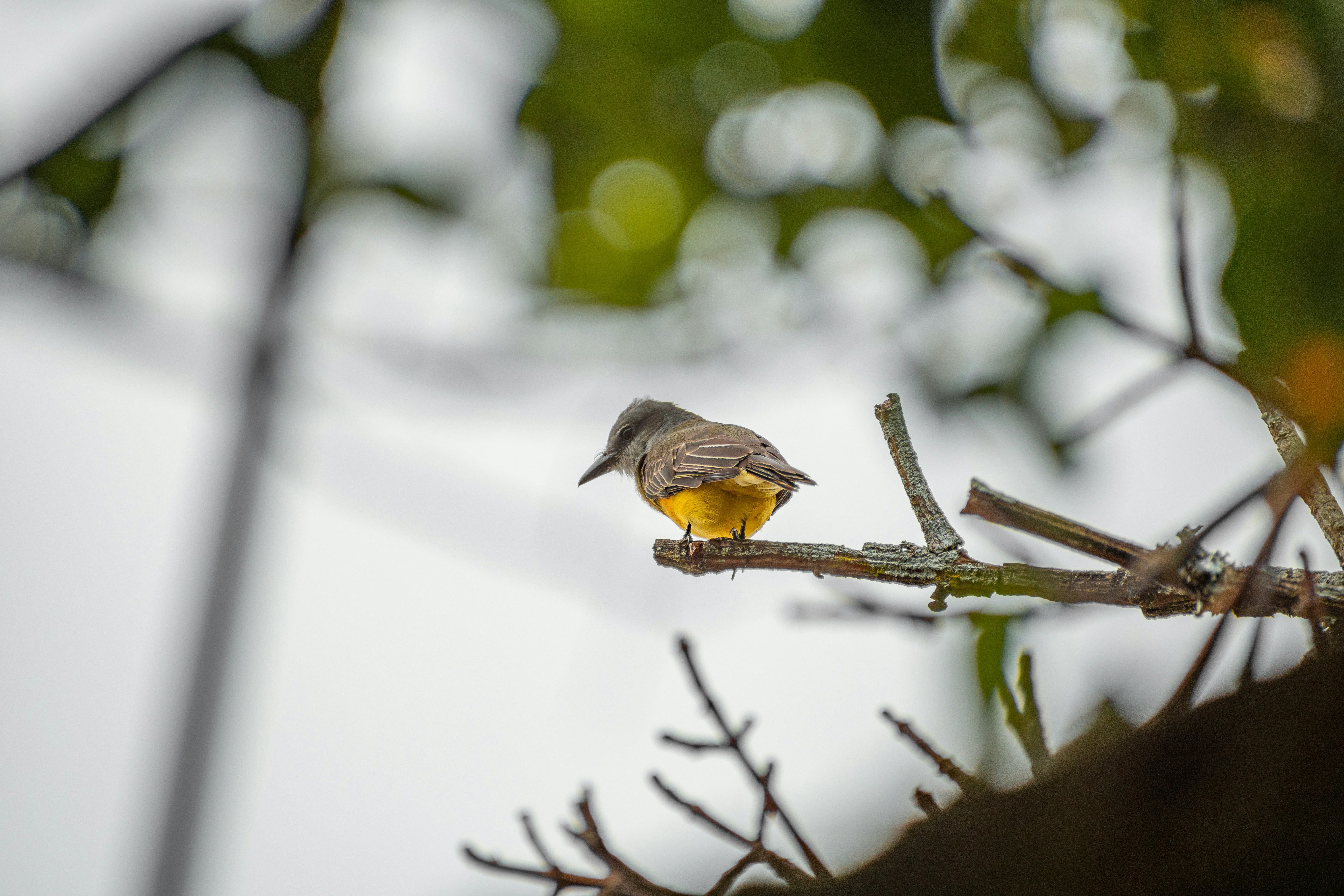 Photo by ardilavisuals