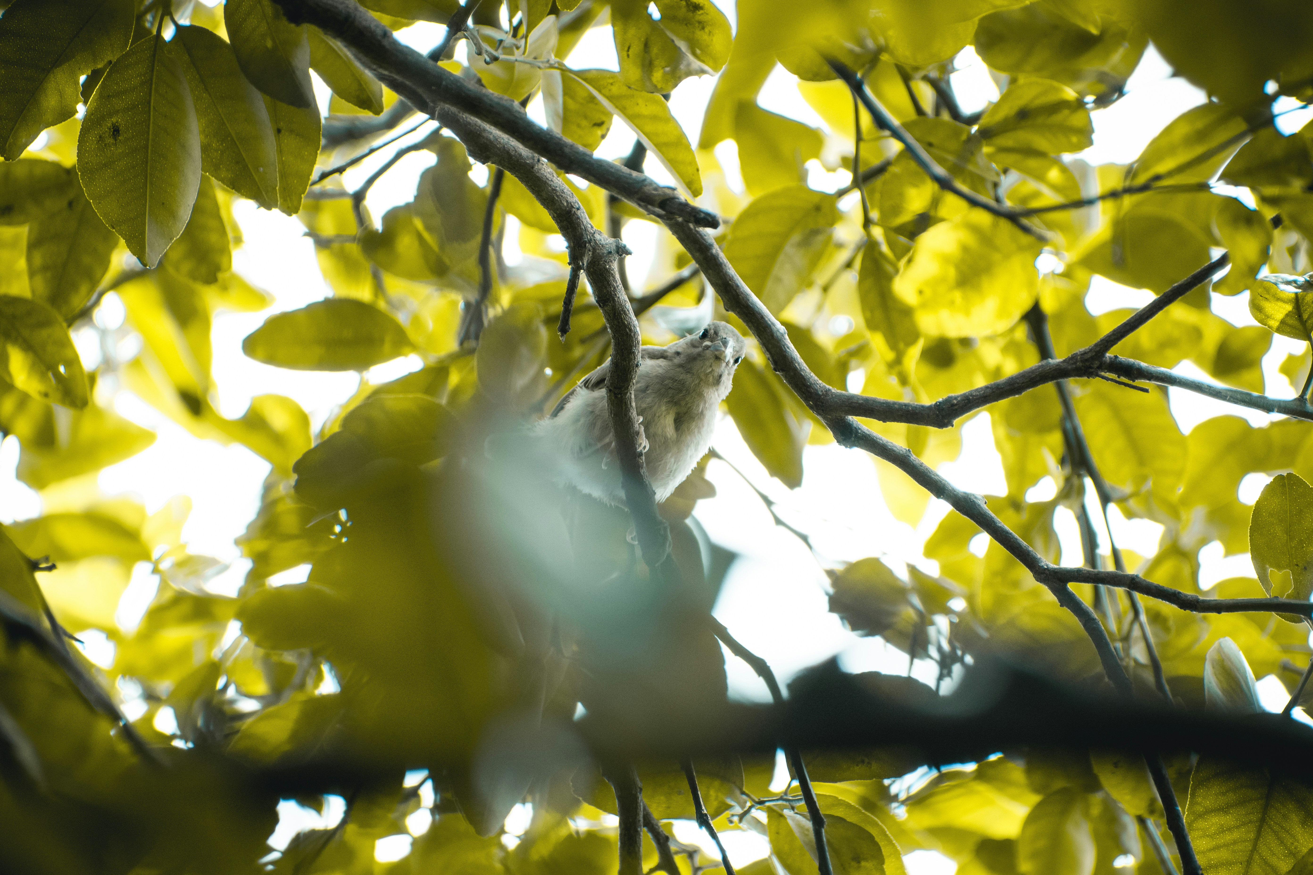 Photo by ardilavisuals