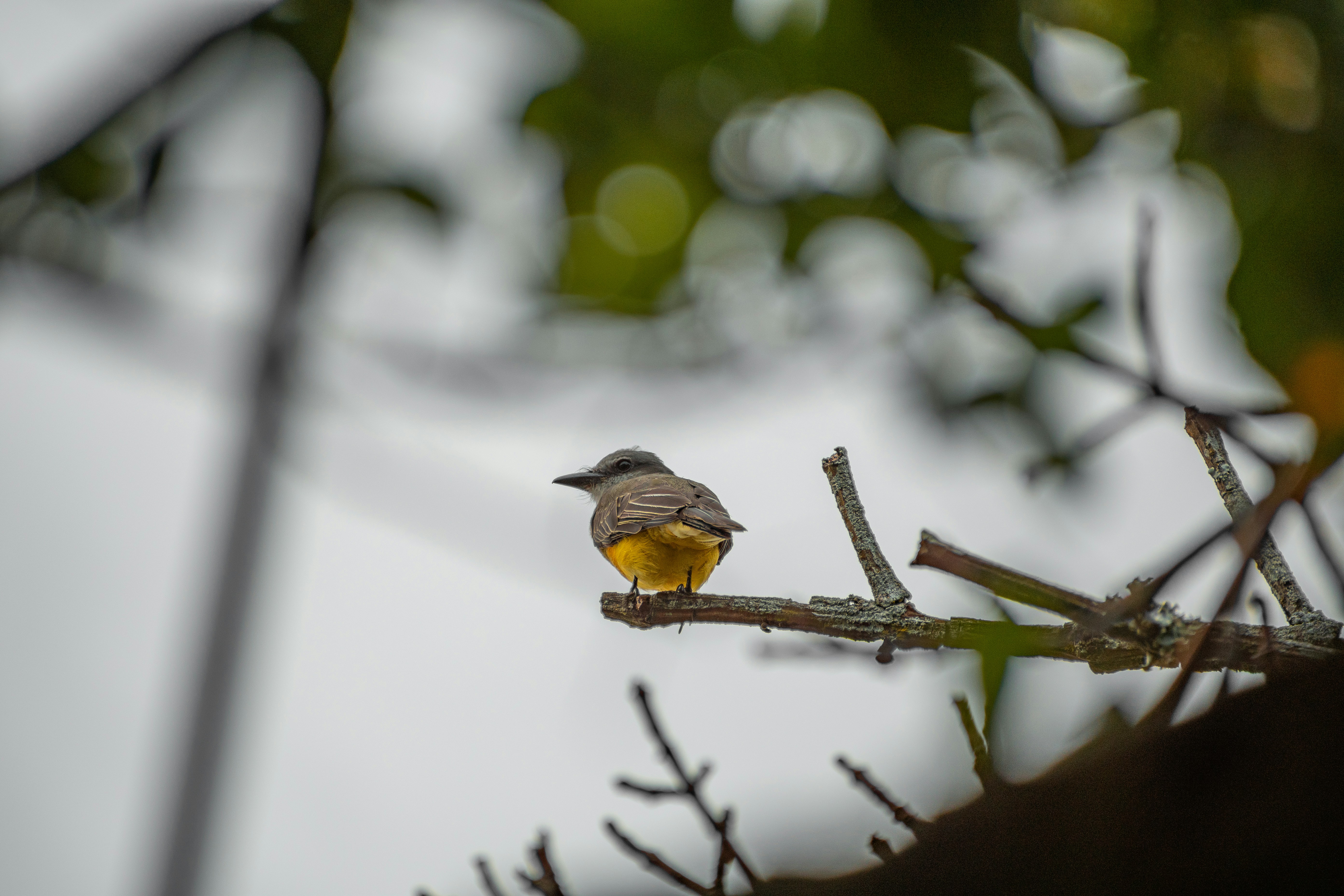 Photo by ardilavisuals